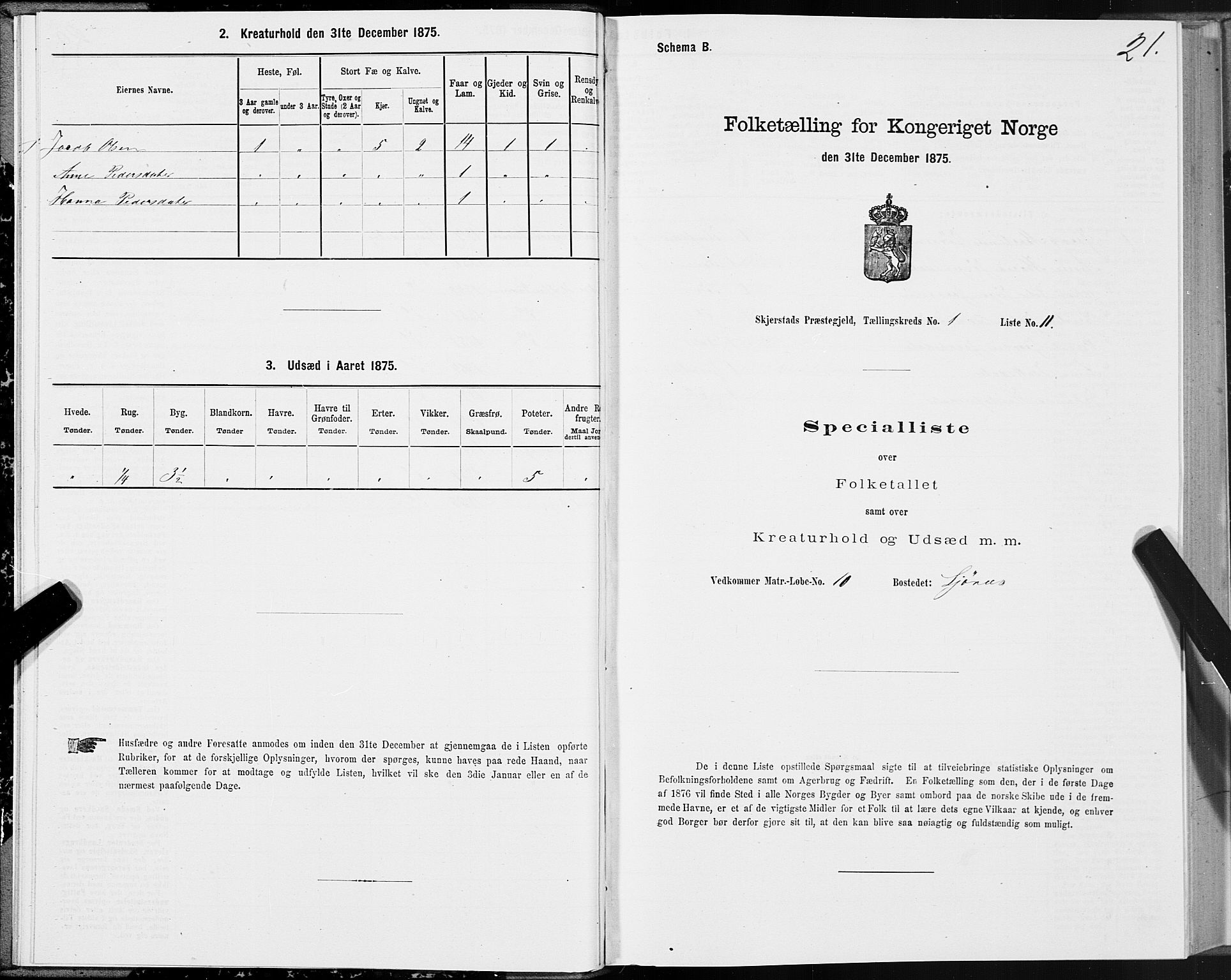 SAT, 1875 census for 1842P Skjerstad, 1875, p. 1021