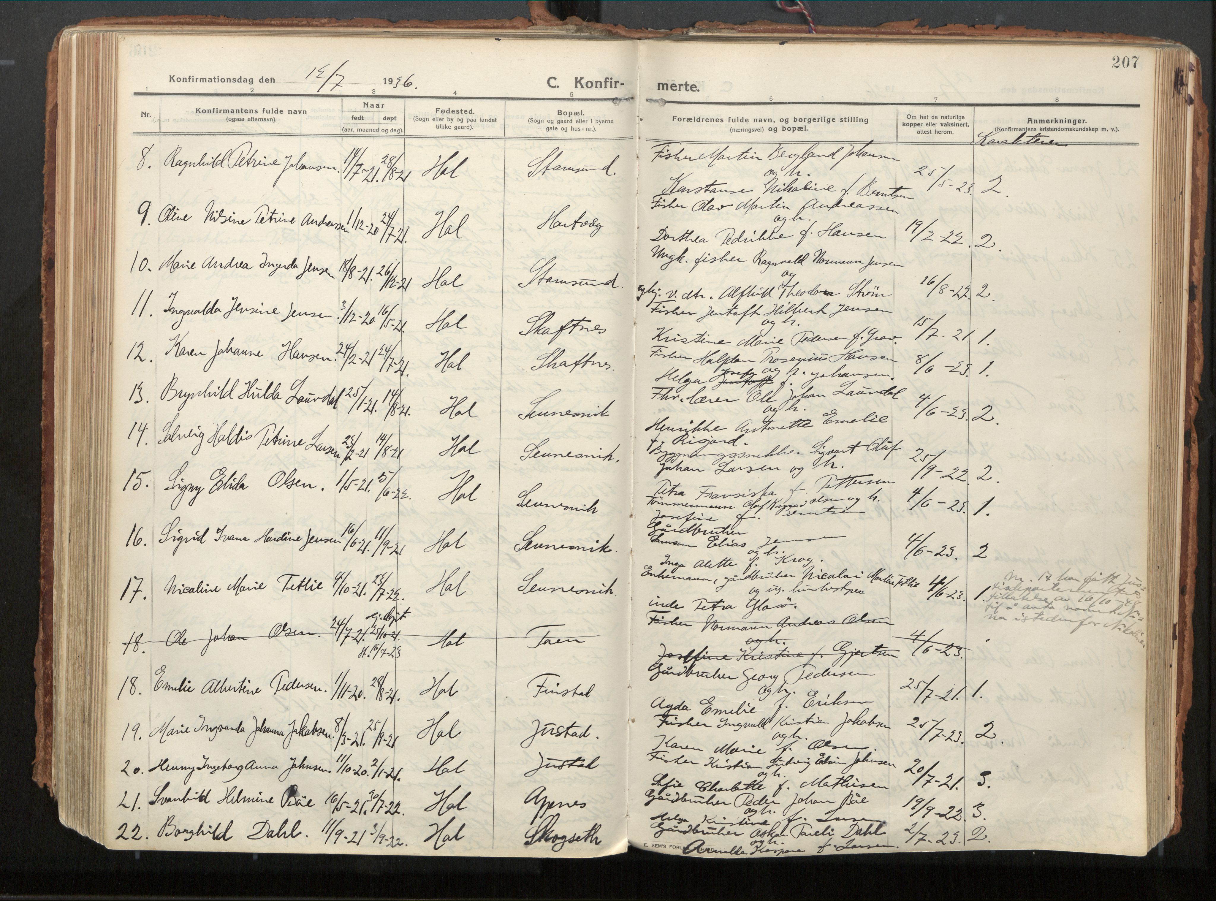 Ministerialprotokoller, klokkerbøker og fødselsregistre - Nordland, AV/SAT-A-1459/882/L1181: Parish register (official) no. 882A03, 1913-1937, p. 207