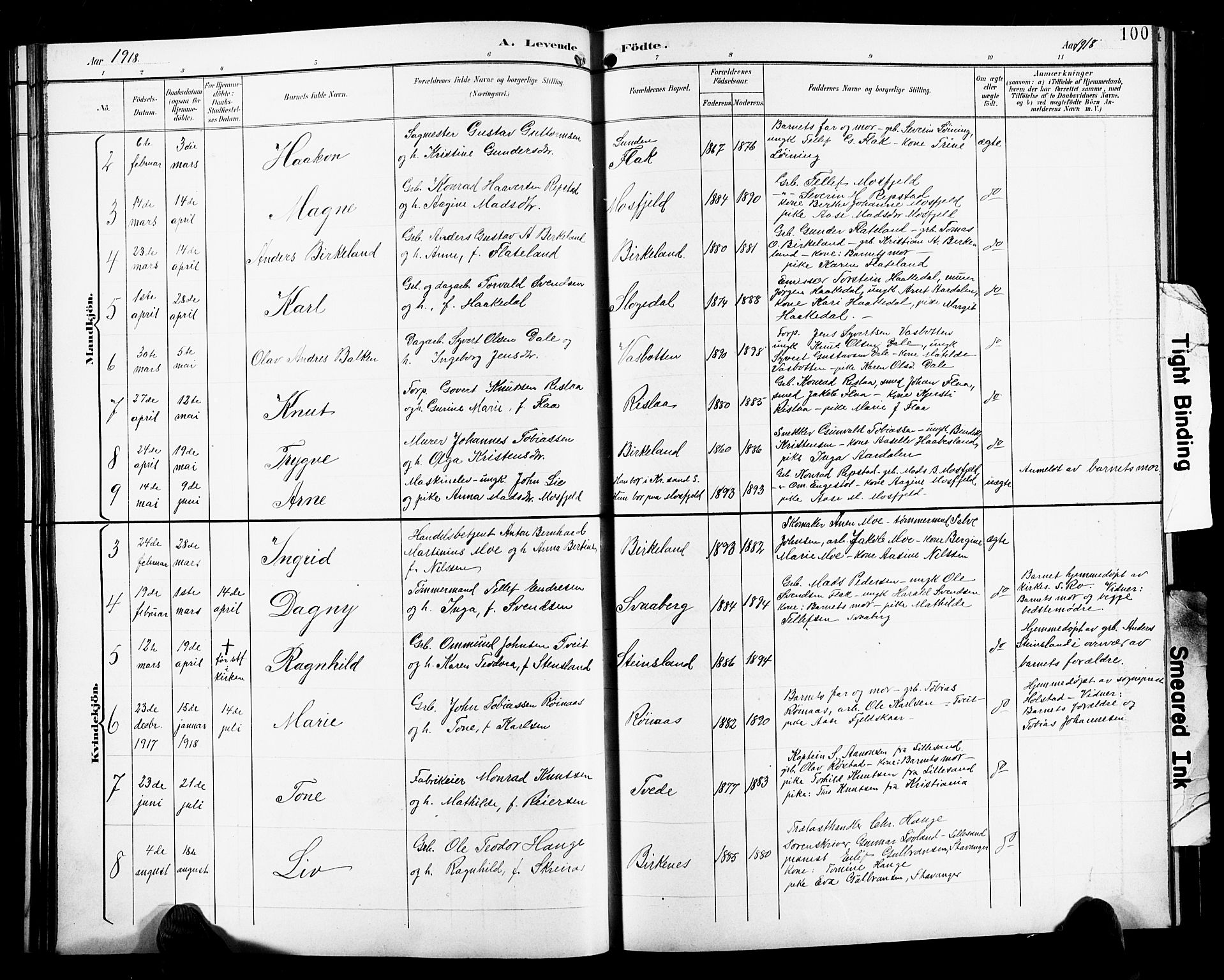 Birkenes sokneprestkontor, SAK/1111-0004/F/Fb/L0004: Parish register (copy) no. B 4, 1893-1930, p. 100
