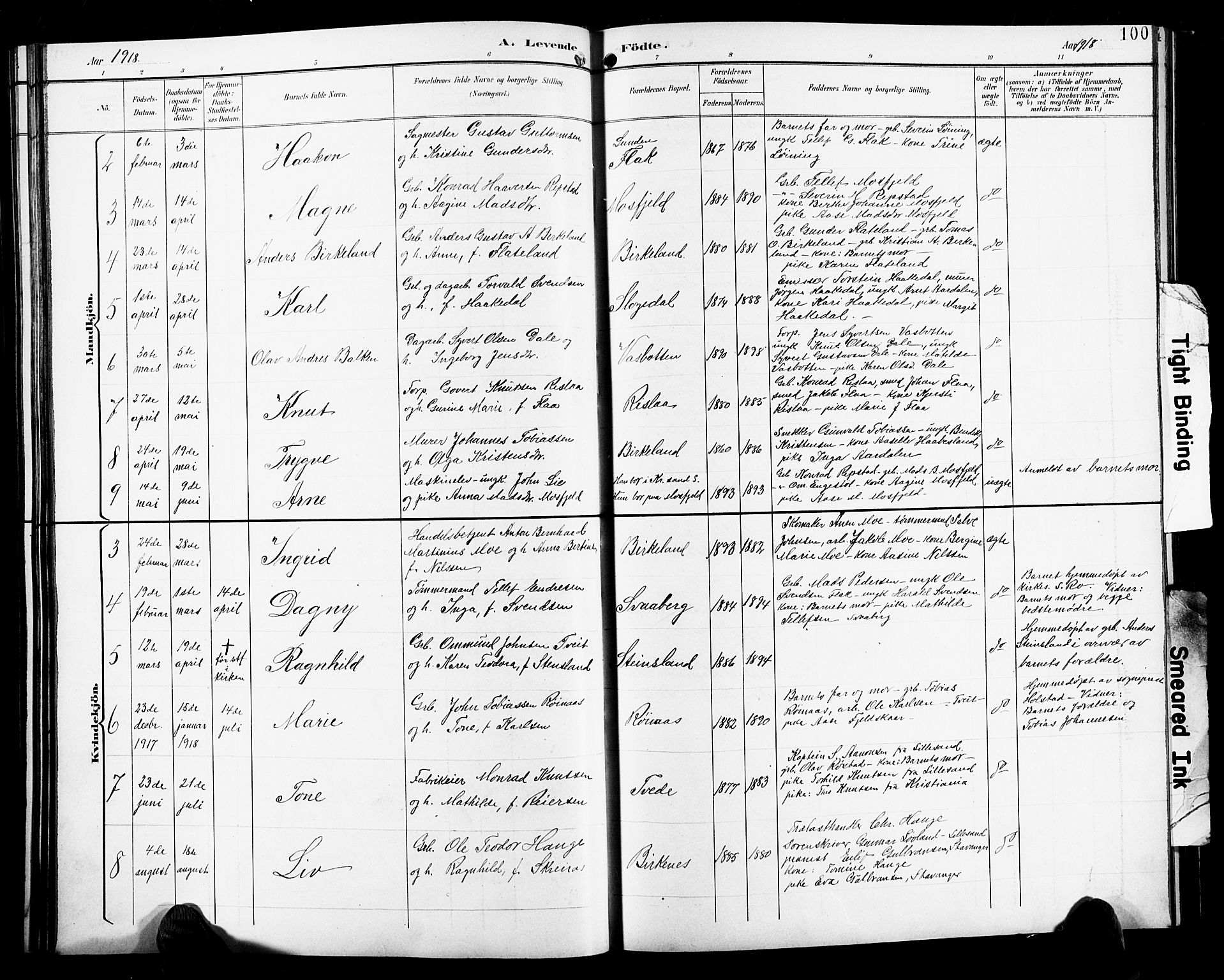 Birkenes sokneprestkontor, AV/SAK-1111-0004/F/Fb/L0004: Parish register (copy) no. B 4, 1893-1930, p. 100