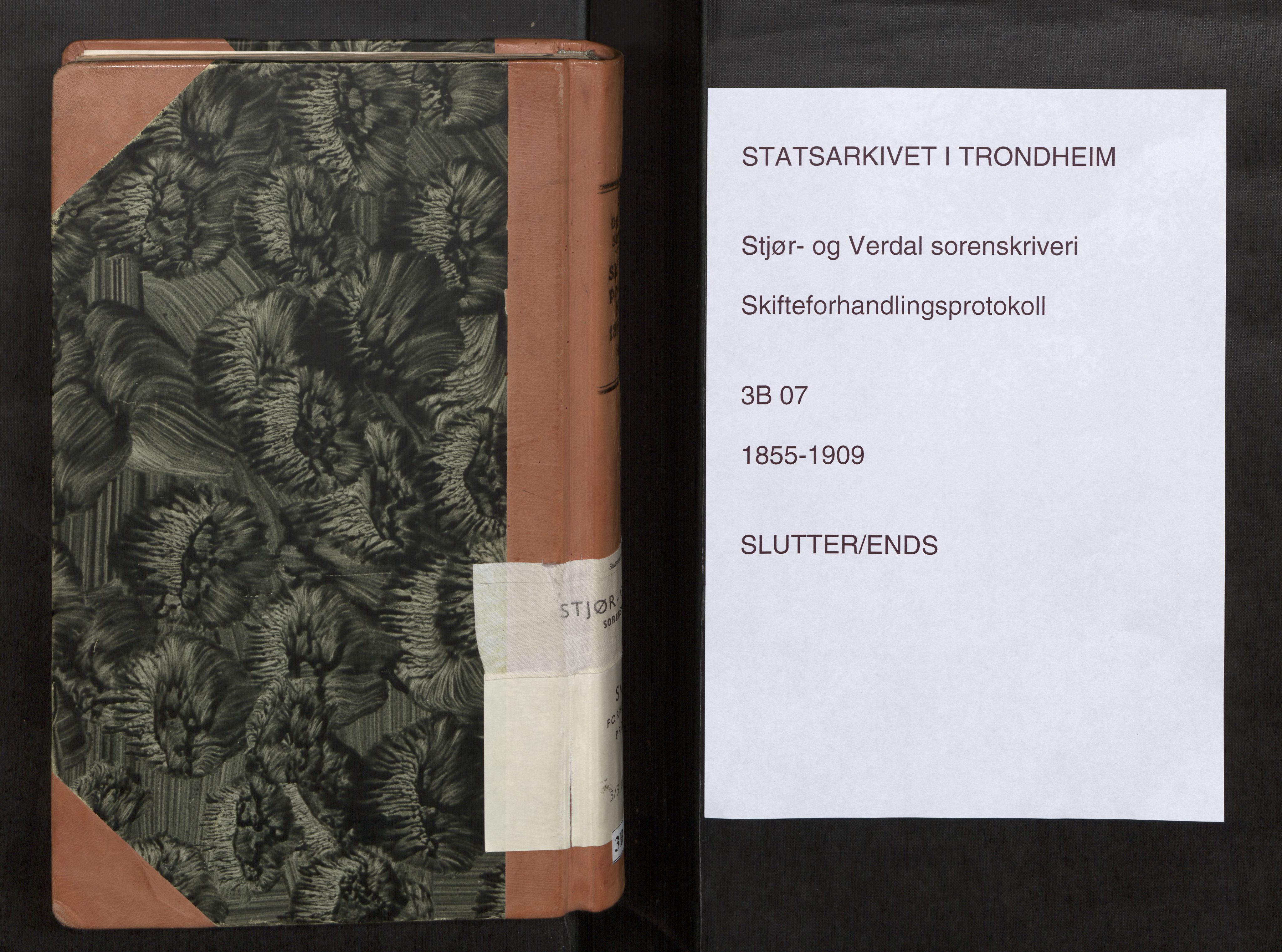 Stjør- og Verdal sorenskriveri, SAT/A-4167/1/3/3B/L0007: Skifteforhandlingsprotokoll, 1855-1909, p. 191
