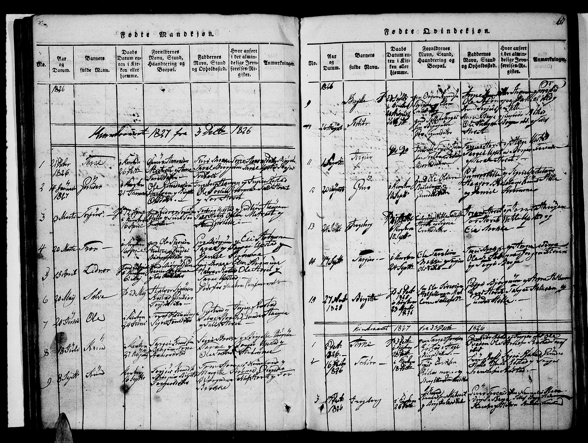 Valle sokneprestkontor, SAK/1111-0044/F/Fb/Fbc/L0001: Parish register (copy) no. B 1 /2, 1816-1829, p. 67