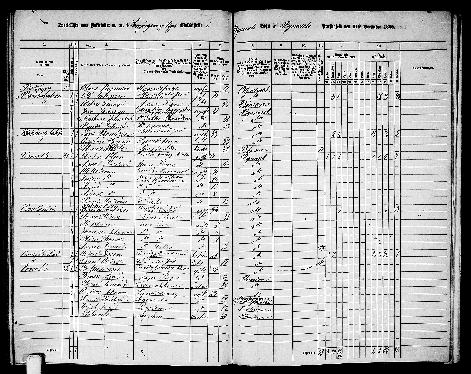 RA, 1865 census for Byneset, 1865, p. 100