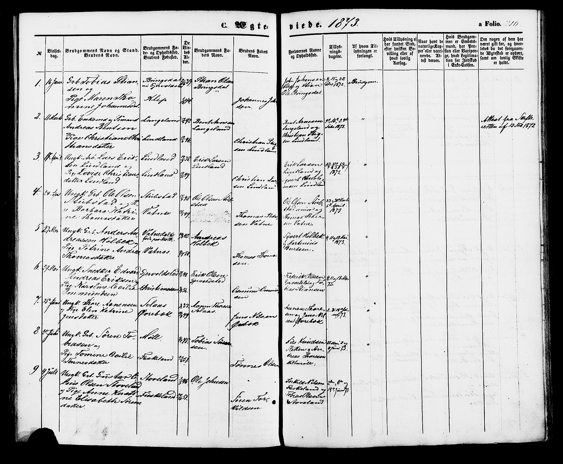 Holum sokneprestkontor, AV/SAK-1111-0022/F/Fa/Faa/L0006: Parish register (official) no. A 6, 1865-1883, p. 210