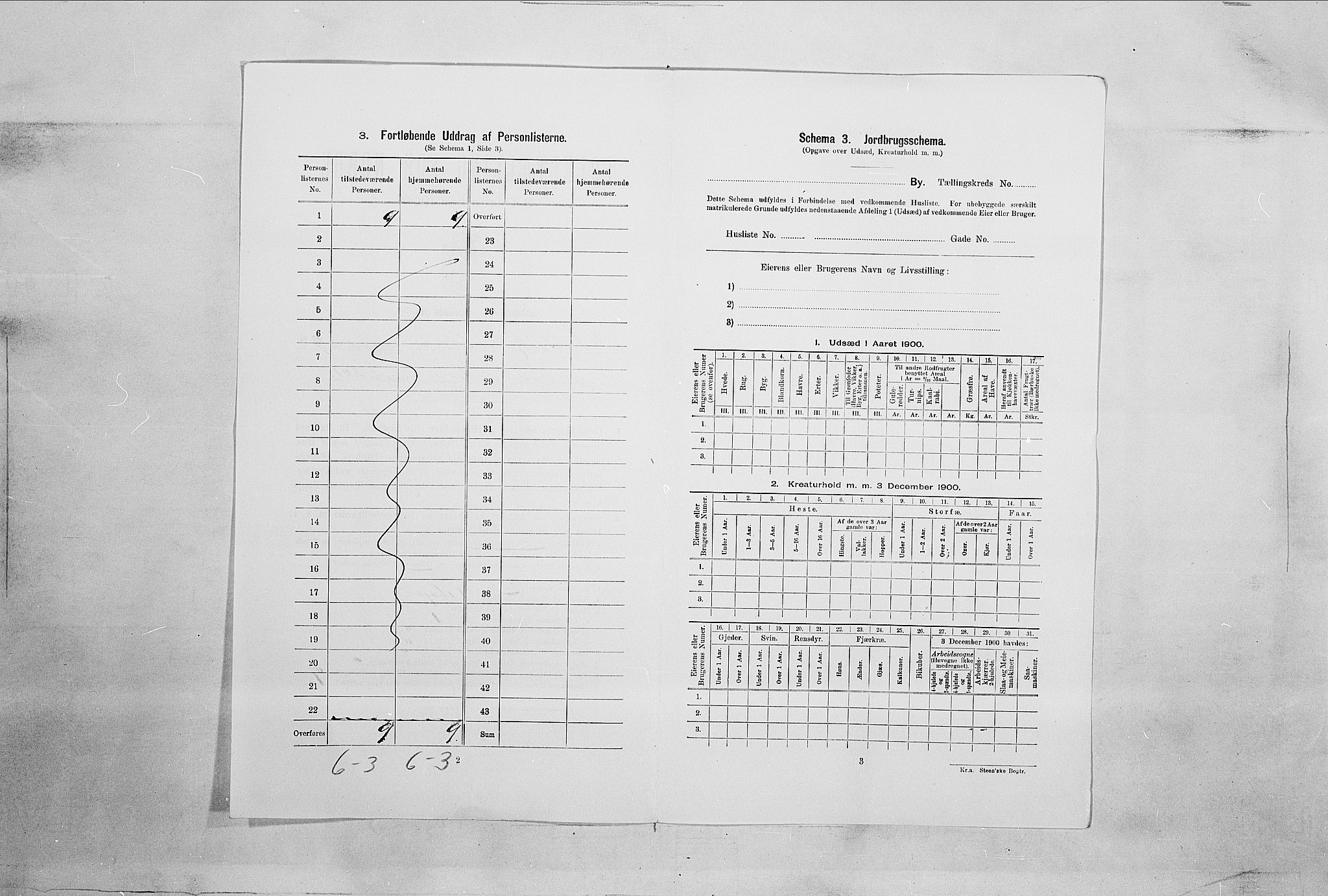 SAO, 1900 census for Fredrikshald, 1900