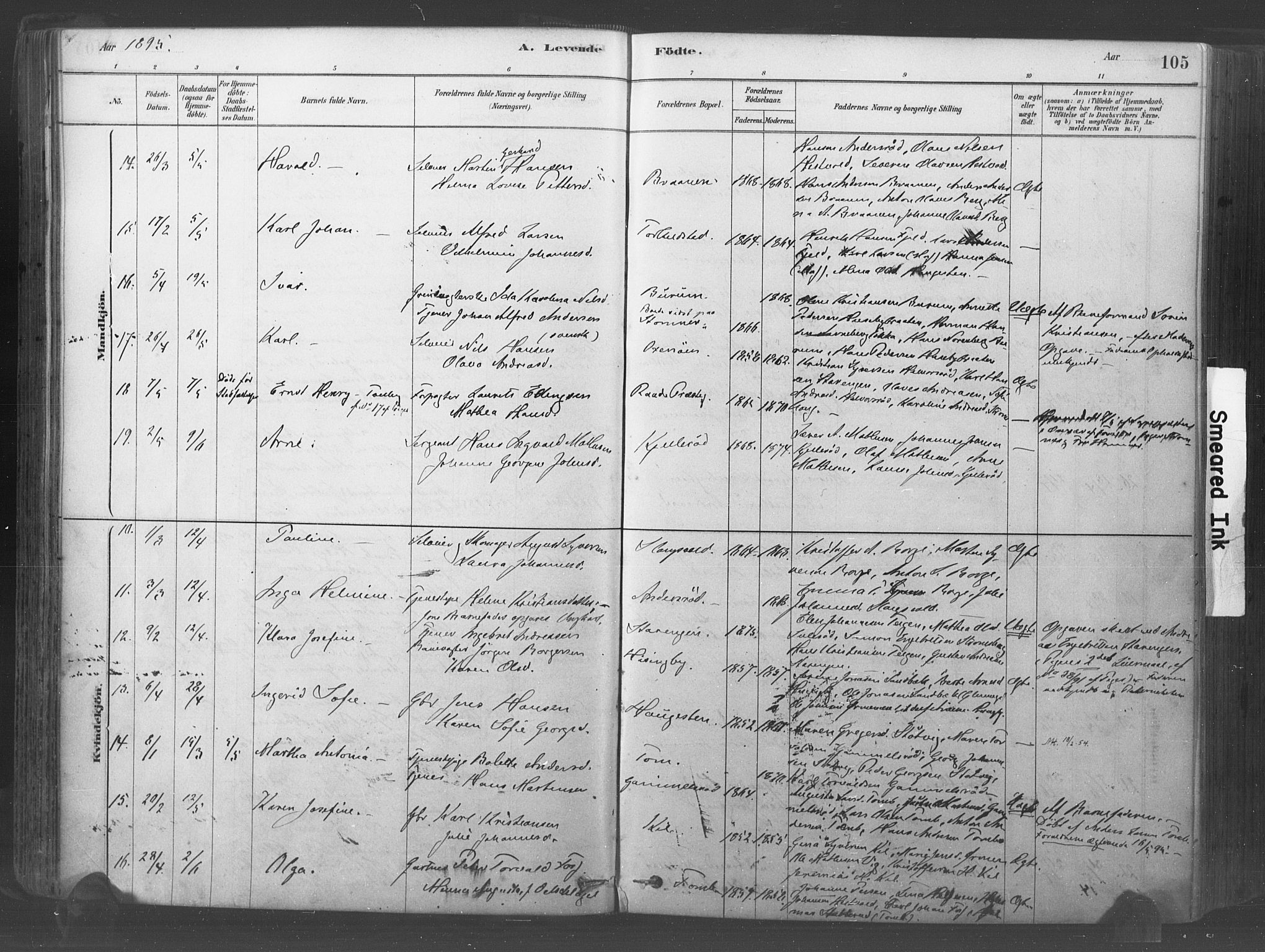 Råde prestekontor kirkebøker, AV/SAO-A-2009/F/Fa/L0007: Parish register (official) no. 7, 1878-1902, p. 105