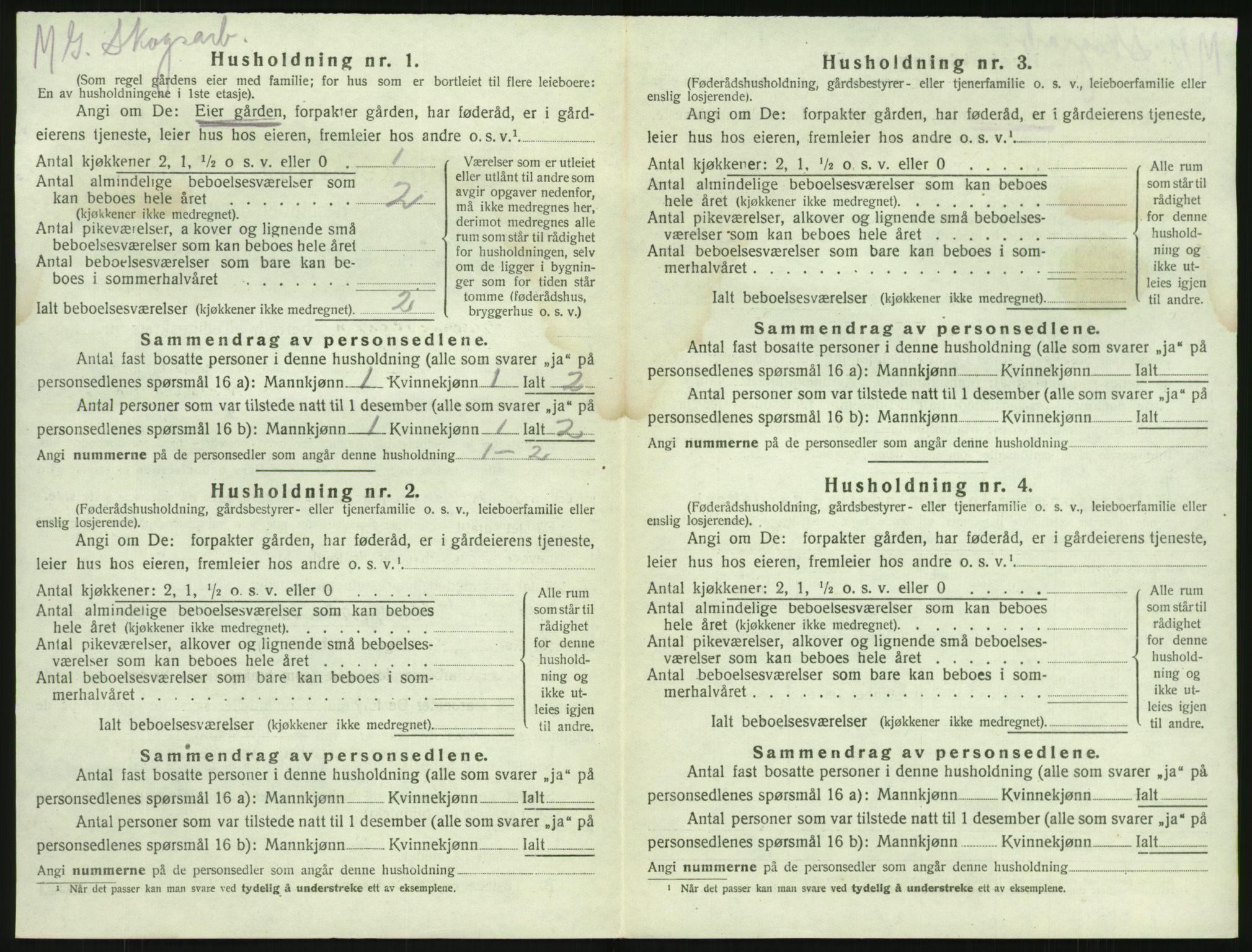 SAKO, 1920 census for Brunlanes, 1920, p. 900