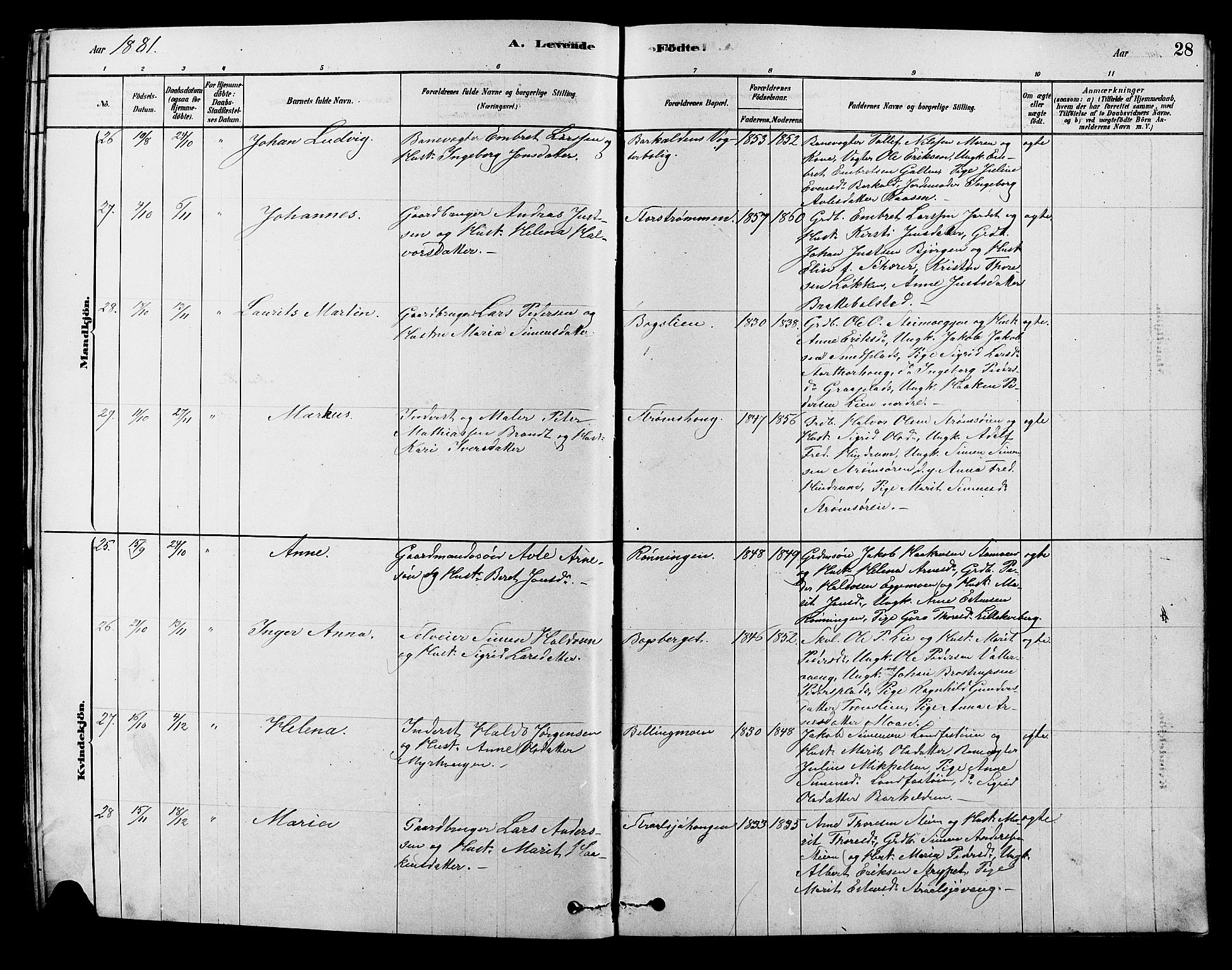 Alvdal prestekontor, AV/SAH-PREST-060/H/Ha/Hab/L0003: Parish register (copy) no. 3, 1878-1907, p. 28