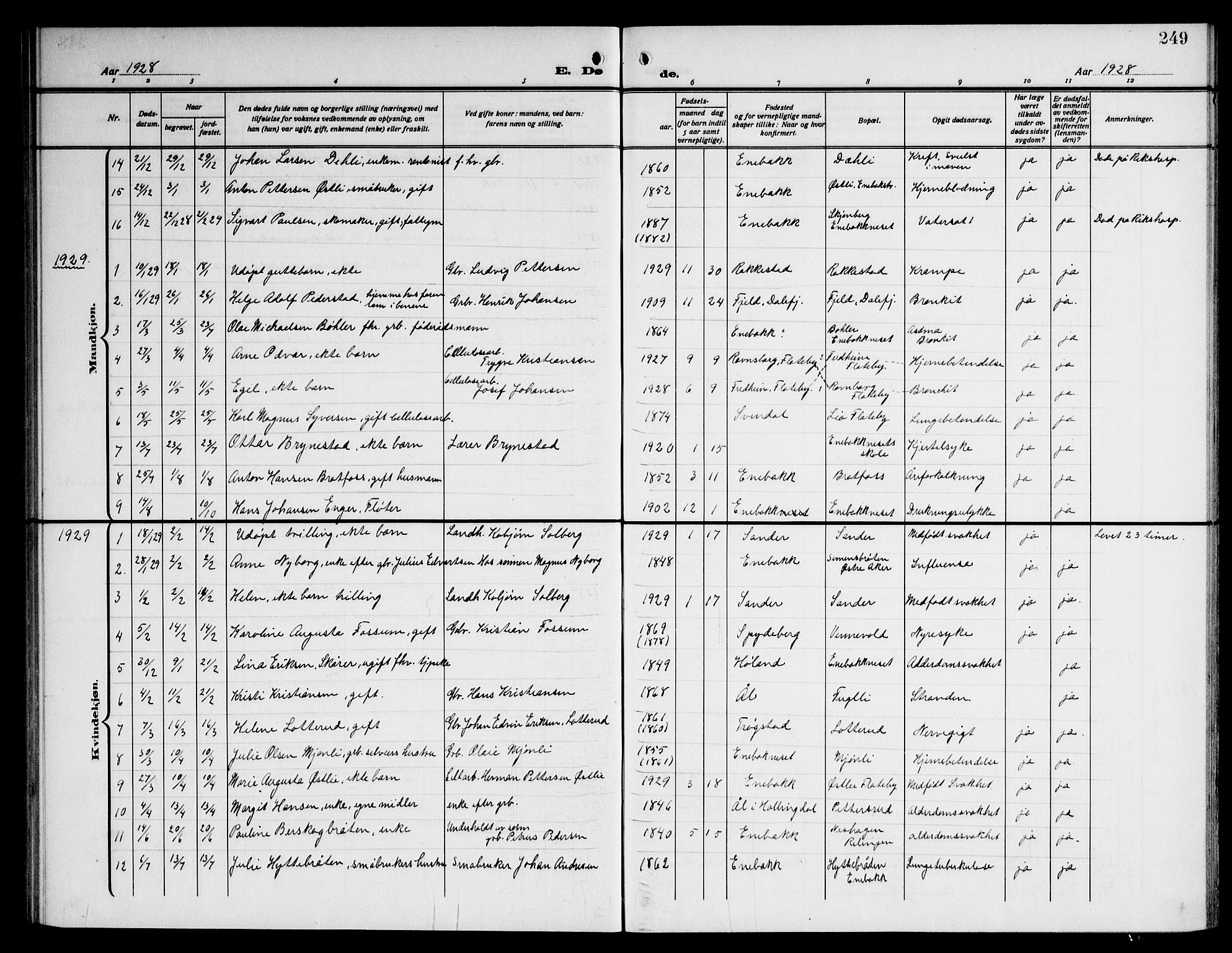 Enebakk prestekontor Kirkebøker, AV/SAO-A-10171c/G/Ga/L0007: Parish register (copy) no. I 7, 1911-1949, p. 249