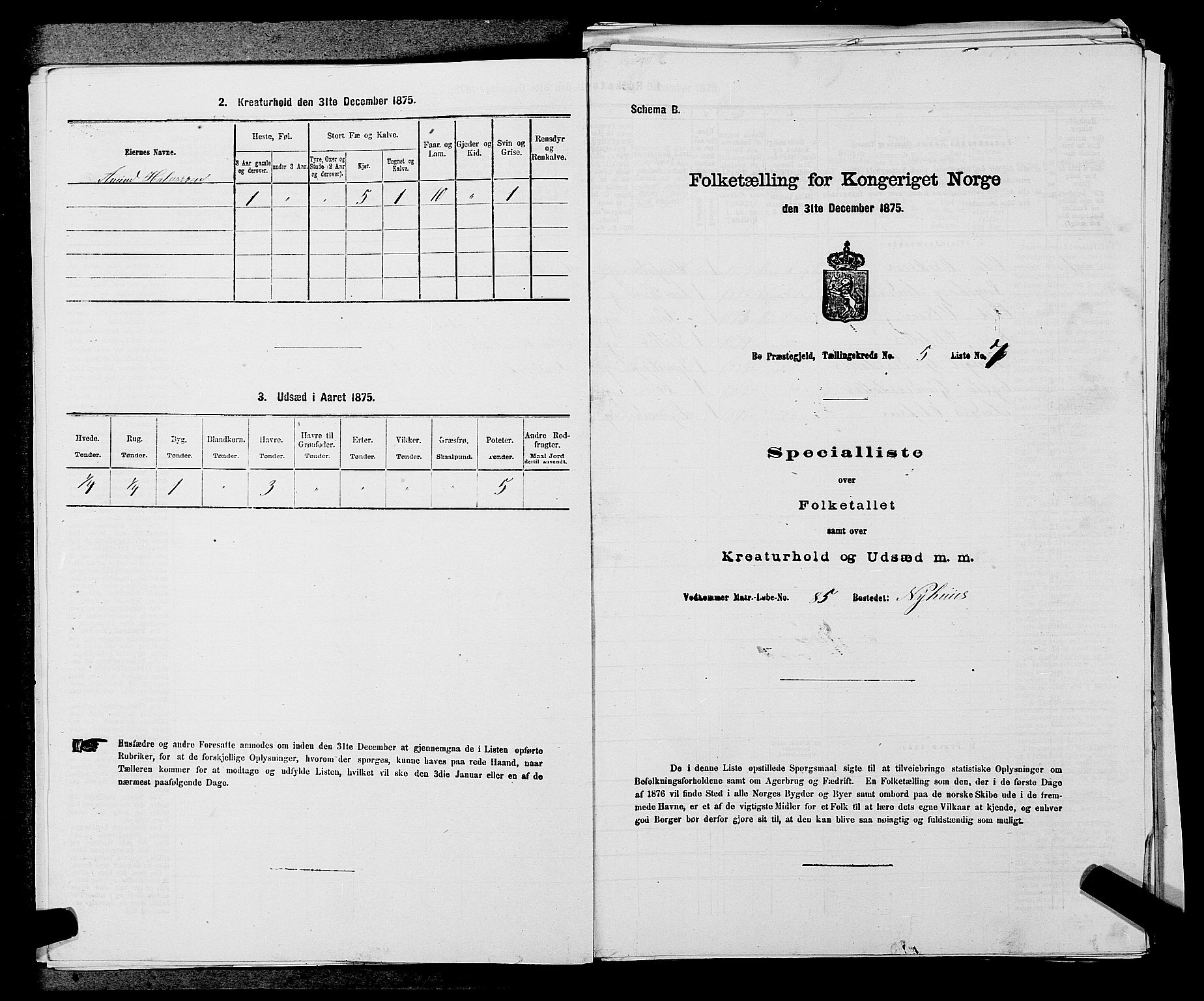 SAKO, 1875 census for 0821P Bø, 1875, p. 610