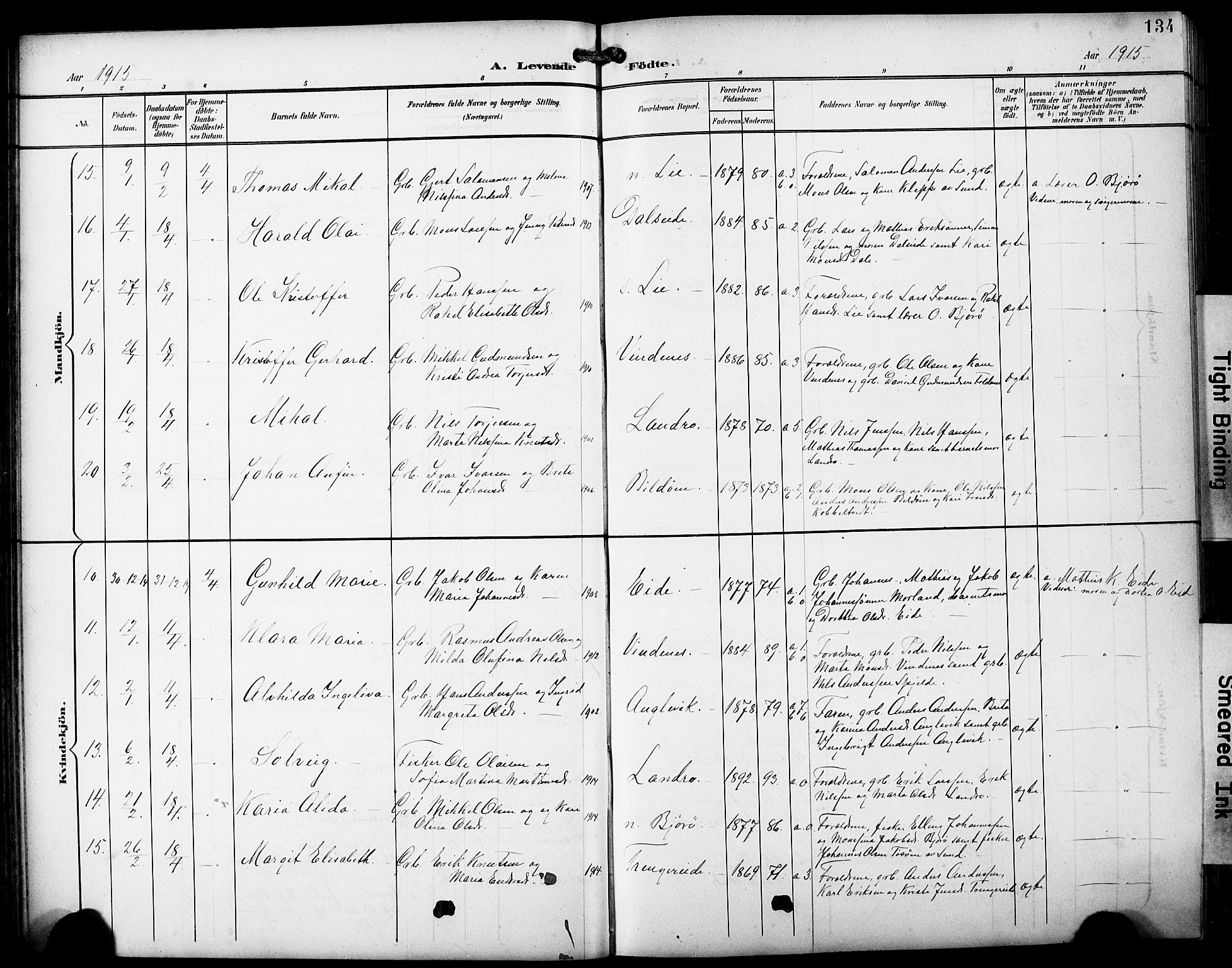 Fjell sokneprestembete, SAB/A-75301/H/Hab: Parish register (copy) no. A 5, 1899-1918, p. 134