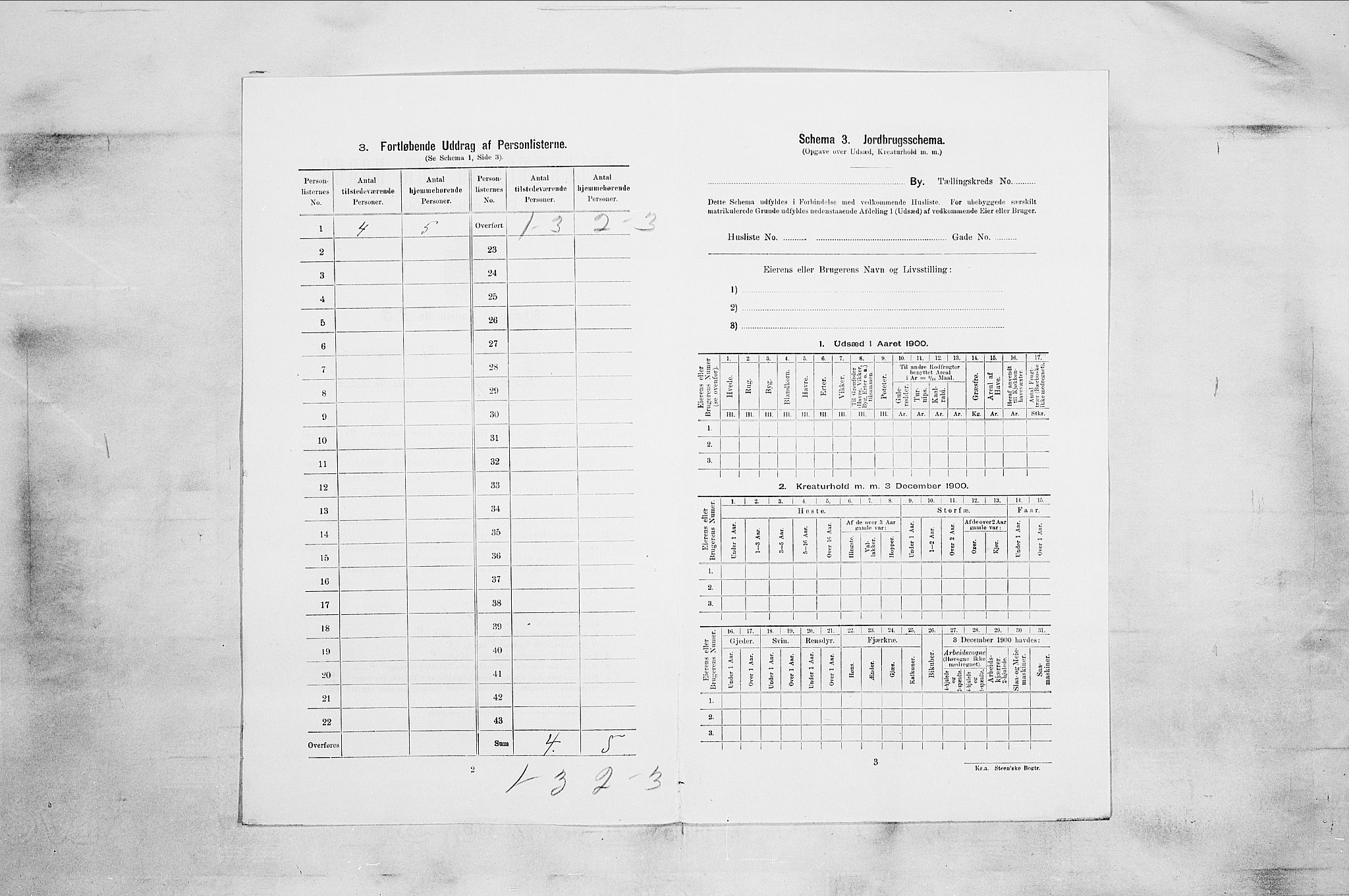 RA, 1900 census for Sandefjord, 1900, p. 1868