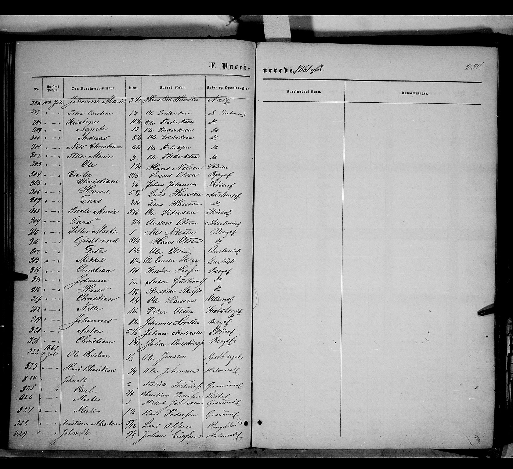 Søndre Land prestekontor, AV/SAH-PREST-122/K/L0001: Parish register (official) no. 1, 1860-1877, p. 234