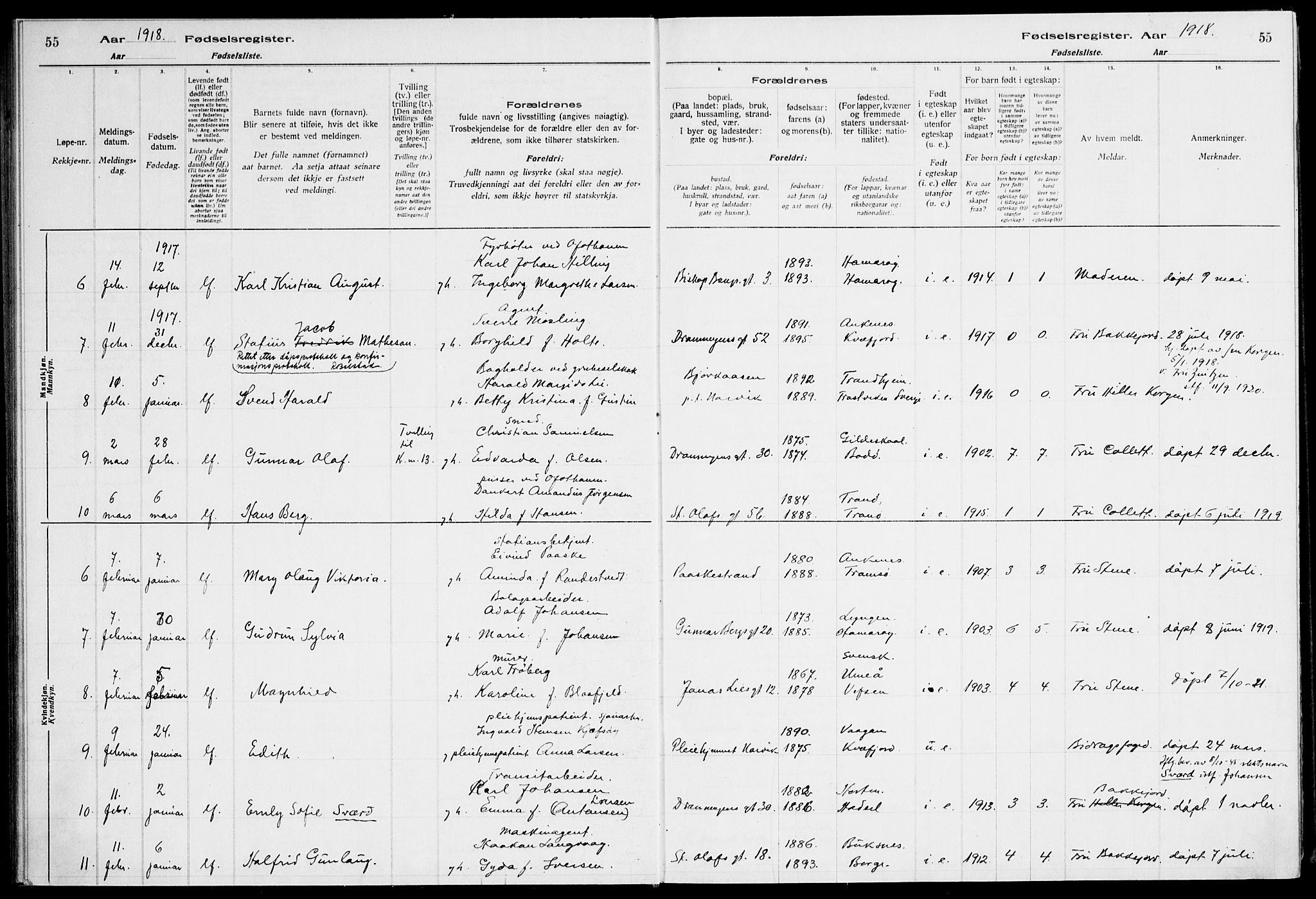 Ministerialprotokoller, klokkerbøker og fødselsregistre - Nordland, AV/SAT-A-1459/871/L1013: Birth register no. 871.II.4.1, 1916-1924, p. 55