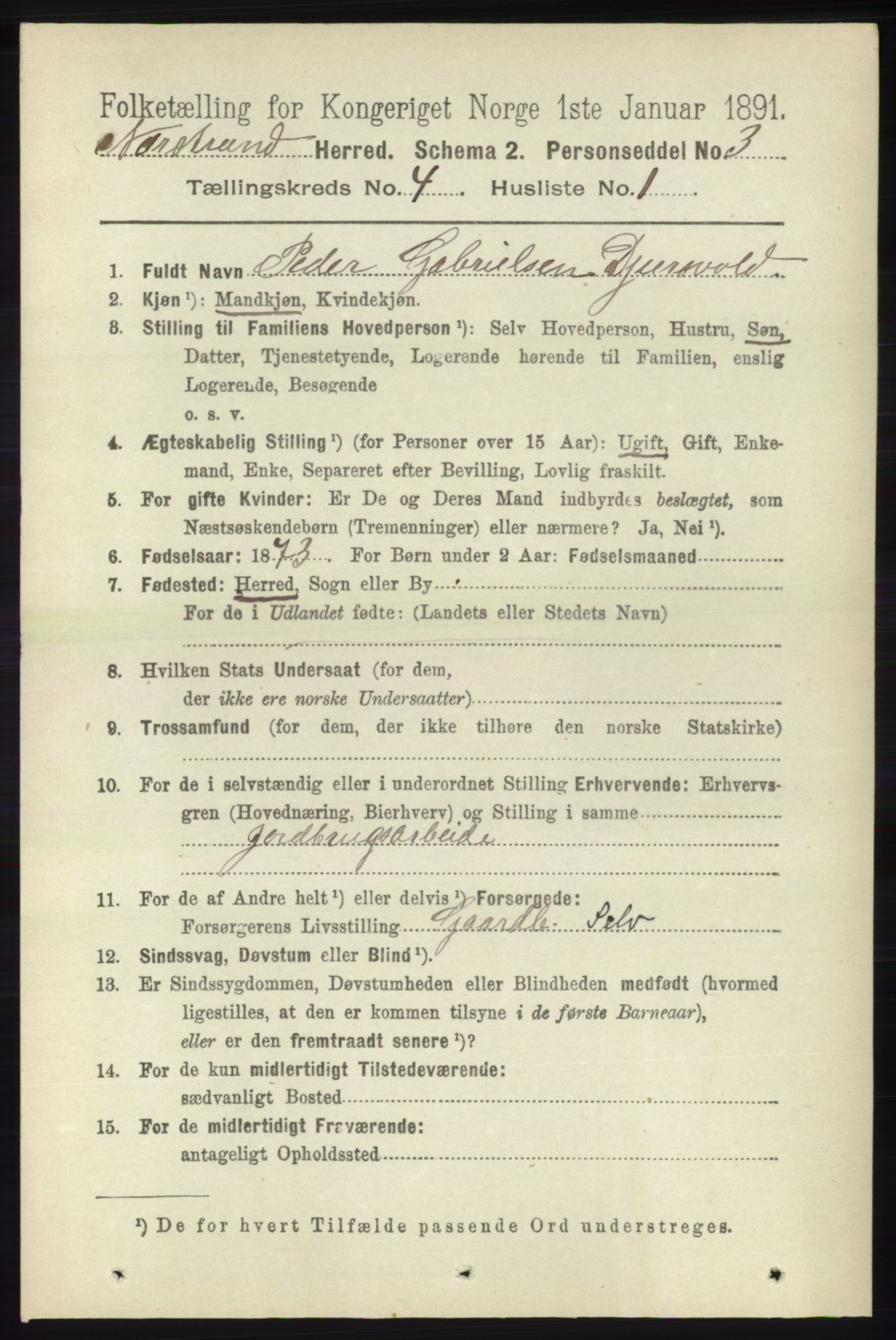 RA, 1891 census for 1139 Nedstrand, 1891, p. 650