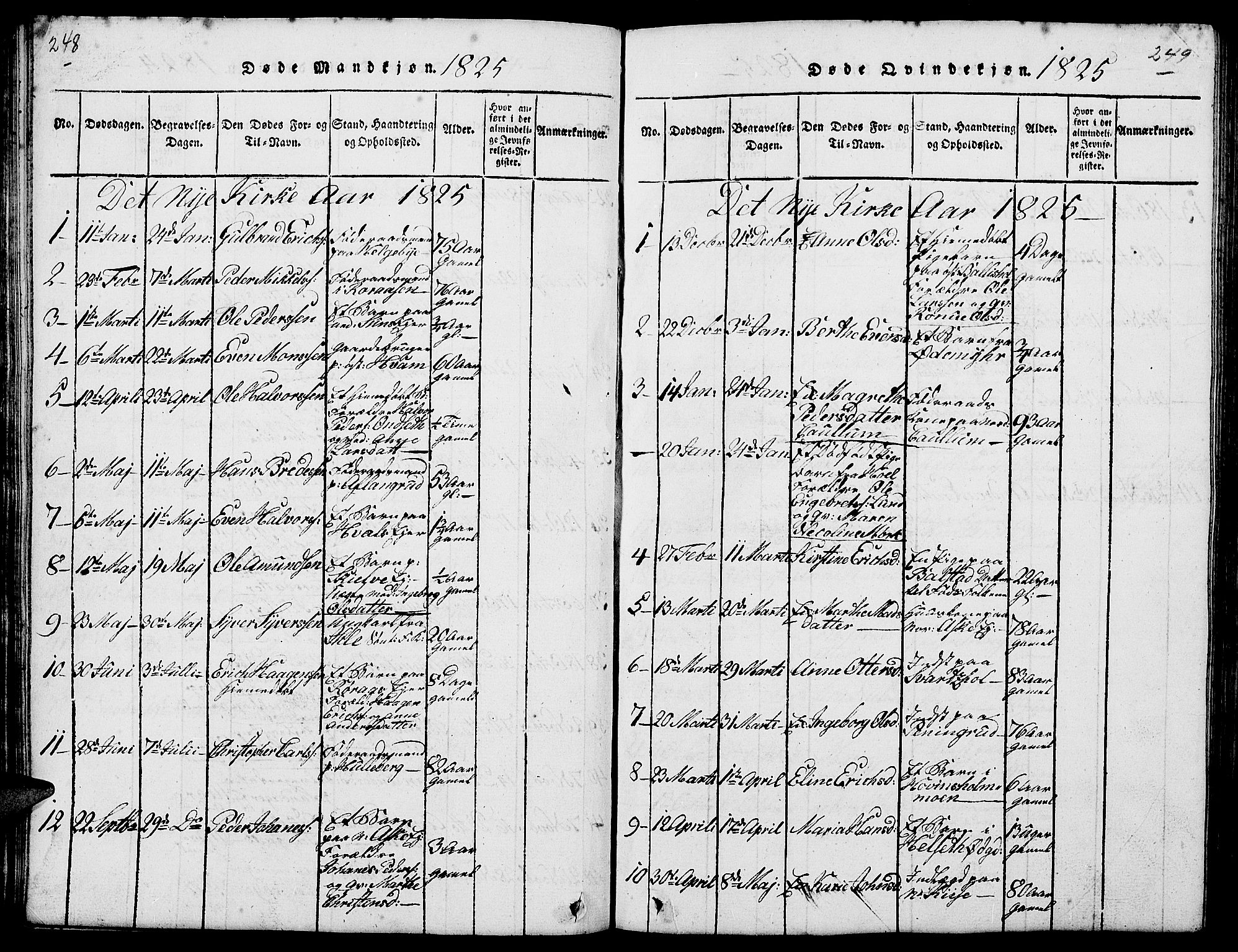 Nes prestekontor, Hedmark, AV/SAH-PREST-020/L/La/L0003: Parish register (copy) no. 3, 1814-1831, p. 248-249