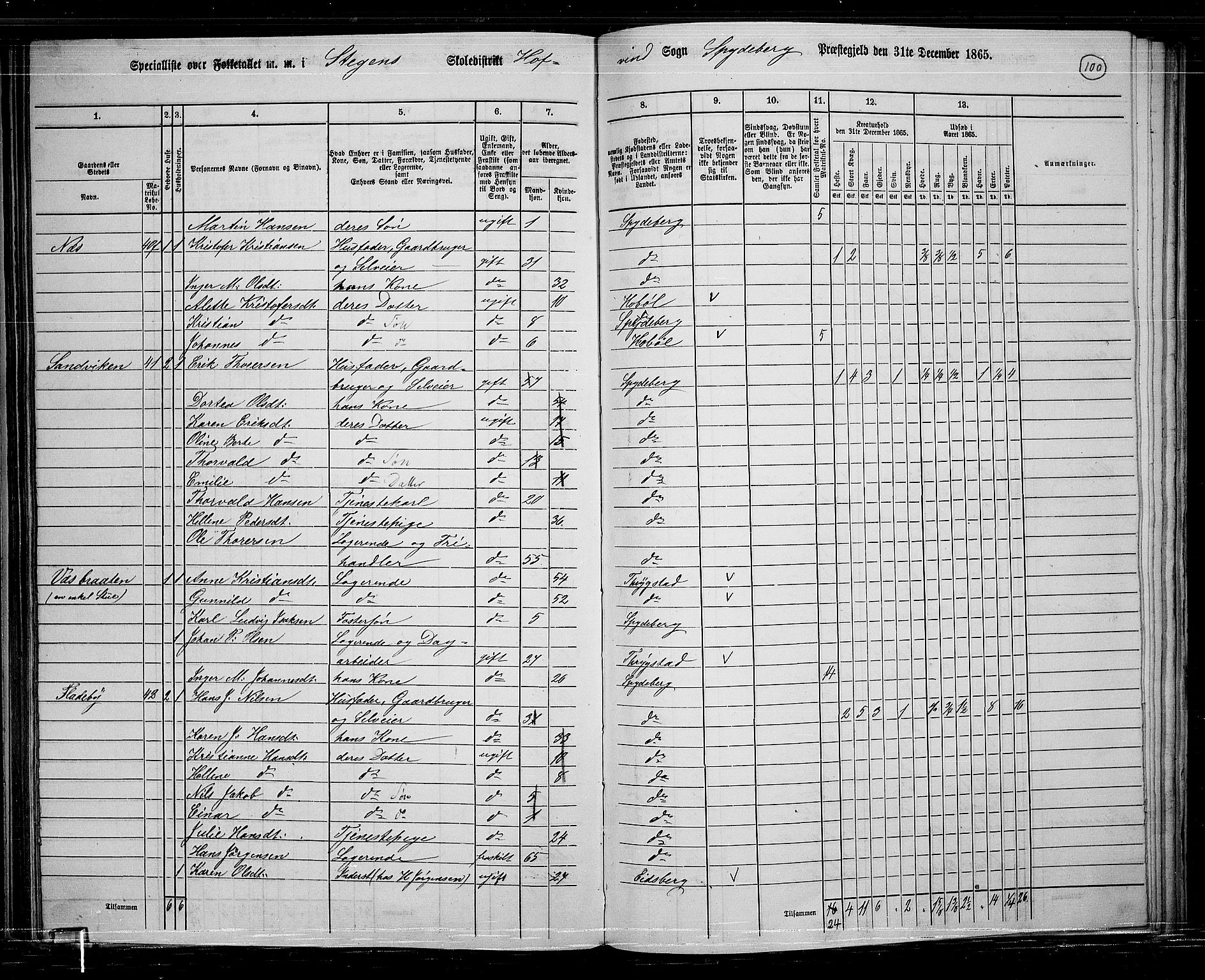 RA, 1865 census for Spydeberg, 1865, p. 88