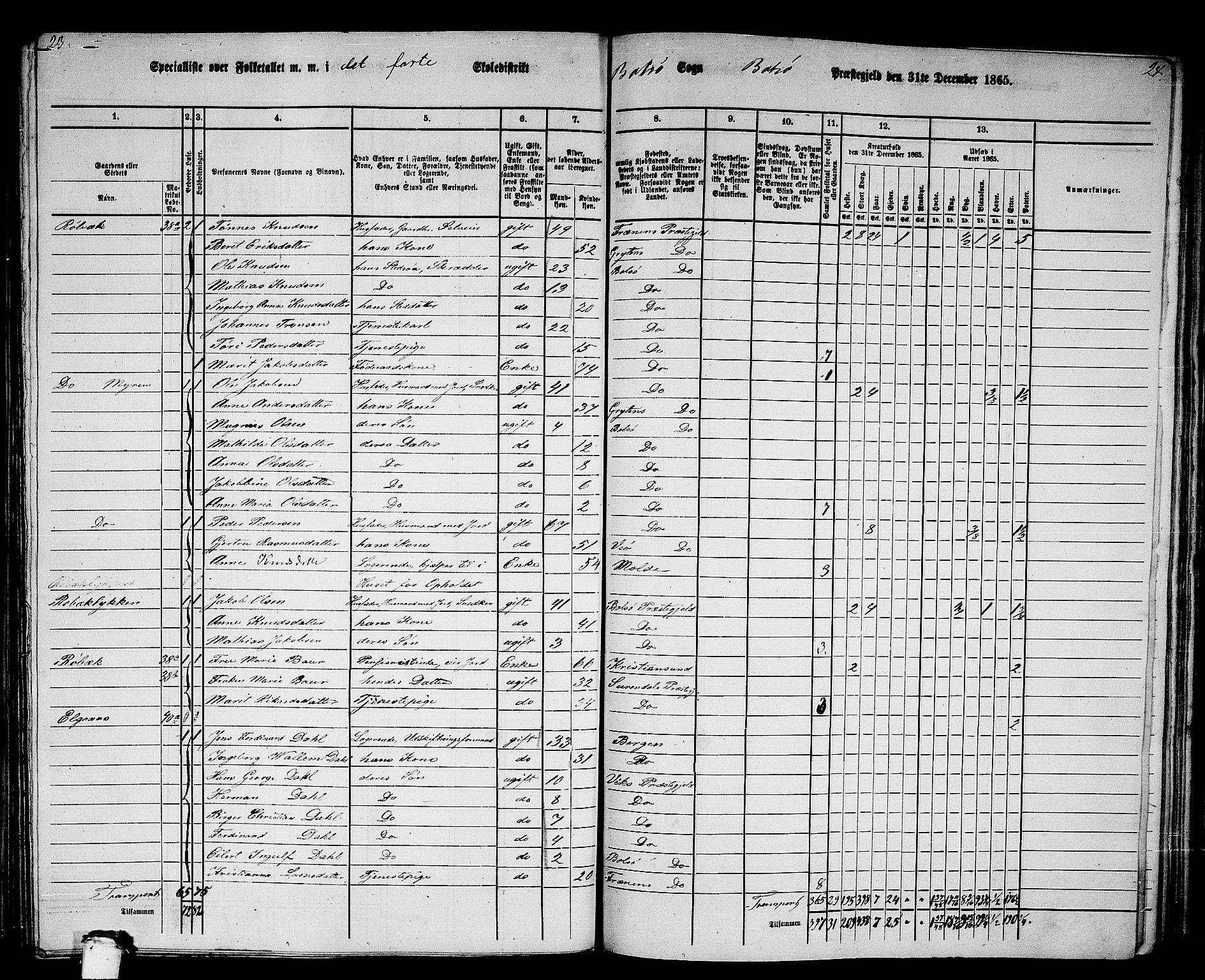 RA, 1865 census for Bolsøy, 1865, p. 46