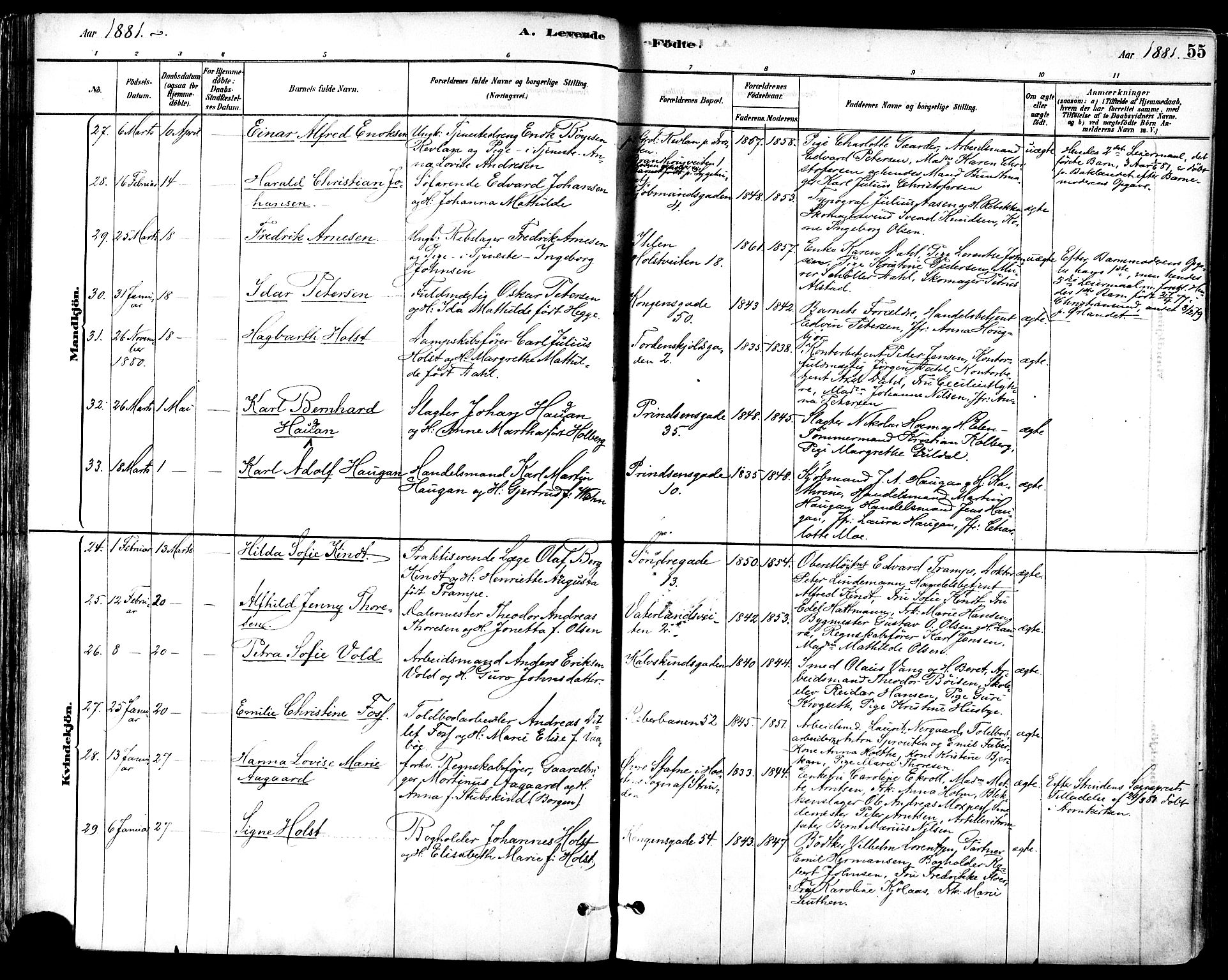 Ministerialprotokoller, klokkerbøker og fødselsregistre - Sør-Trøndelag, AV/SAT-A-1456/601/L0057: Parish register (official) no. 601A25, 1877-1891, p. 55