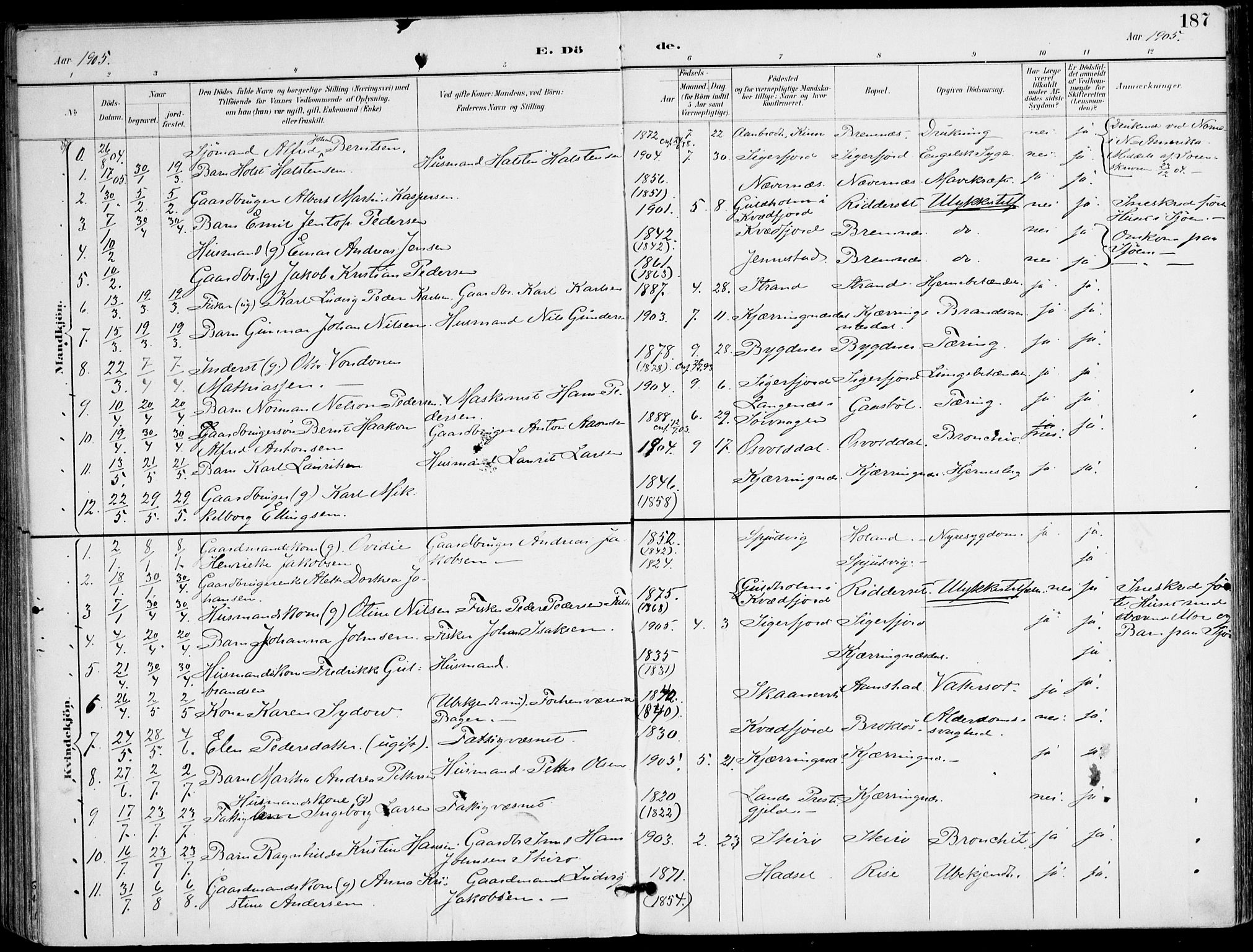 Ministerialprotokoller, klokkerbøker og fødselsregistre - Nordland, AV/SAT-A-1459/895/L1372: Parish register (official) no. 895A07, 1894-1914, p. 187