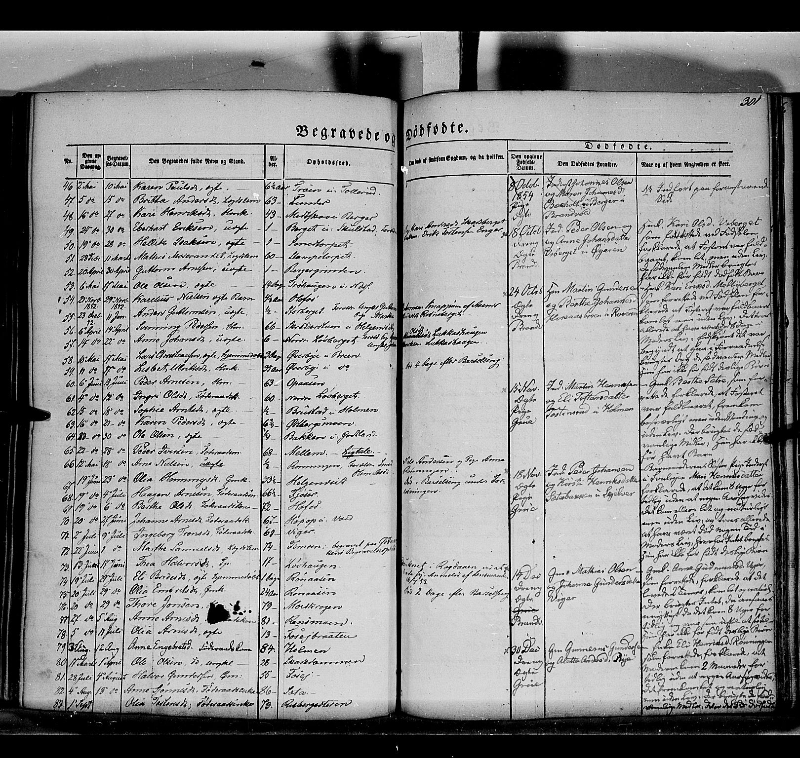 Grue prestekontor, AV/SAH-PREST-036/H/Ha/Haa/L0008: Parish register (official) no. 8, 1847-1858, p. 301