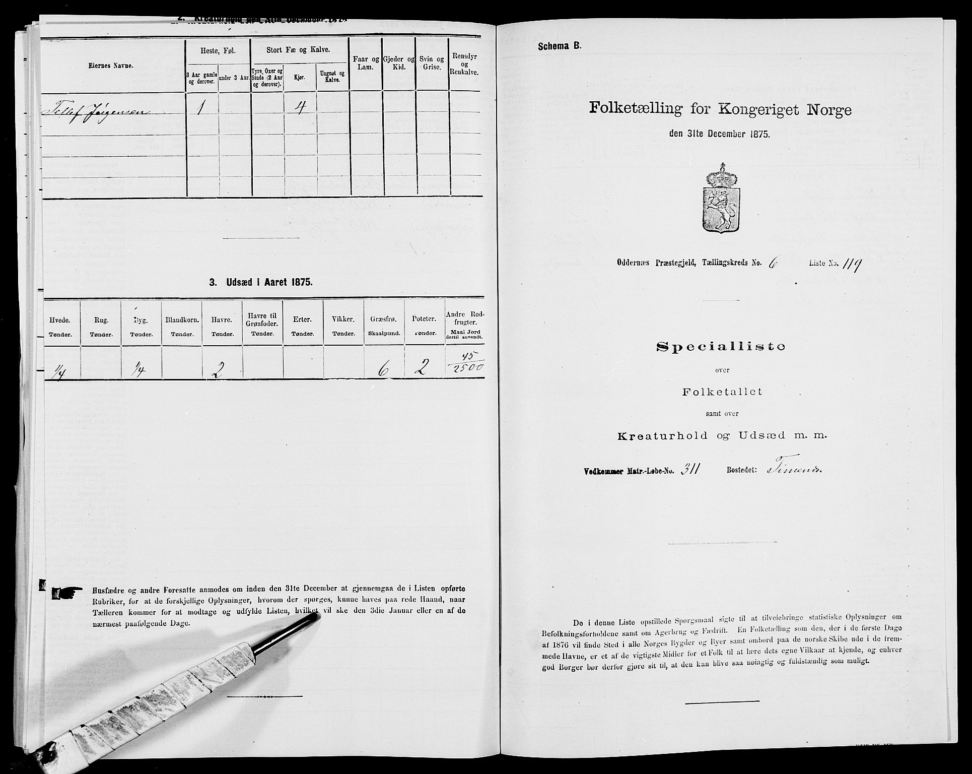 SAK, 1875 census for 1012P Oddernes, 1875, p. 1229