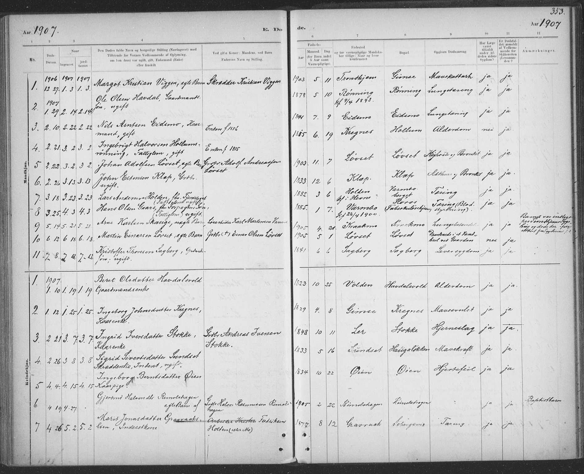 Ministerialprotokoller, klokkerbøker og fødselsregistre - Sør-Trøndelag, SAT/A-1456/691/L1085: Parish register (official) no. 691A17, 1887-1908, p. 353