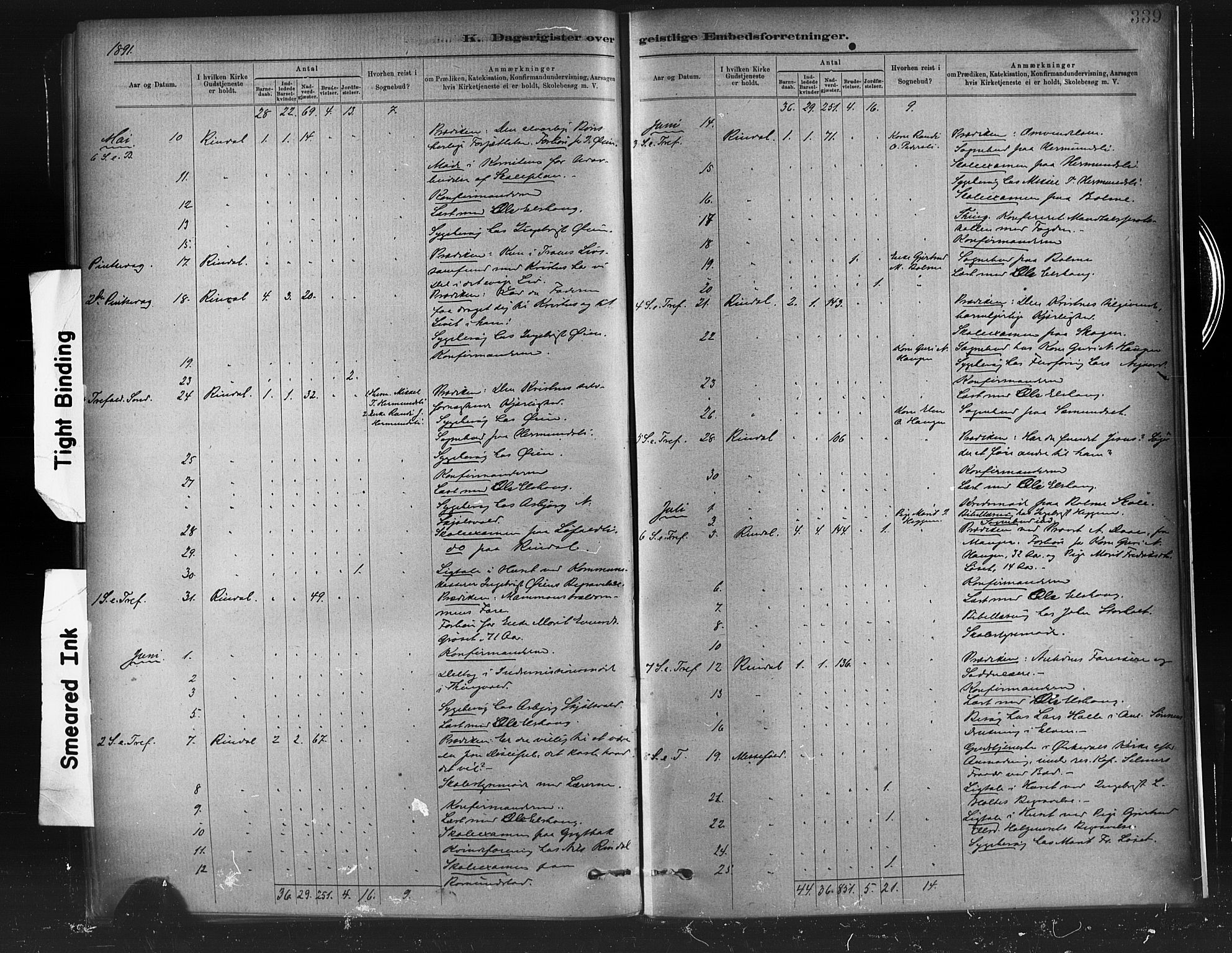 Ministerialprotokoller, klokkerbøker og fødselsregistre - Møre og Romsdal, AV/SAT-A-1454/598/L1069: Parish register (official) no. 598A03, 1882-1895, p. 339