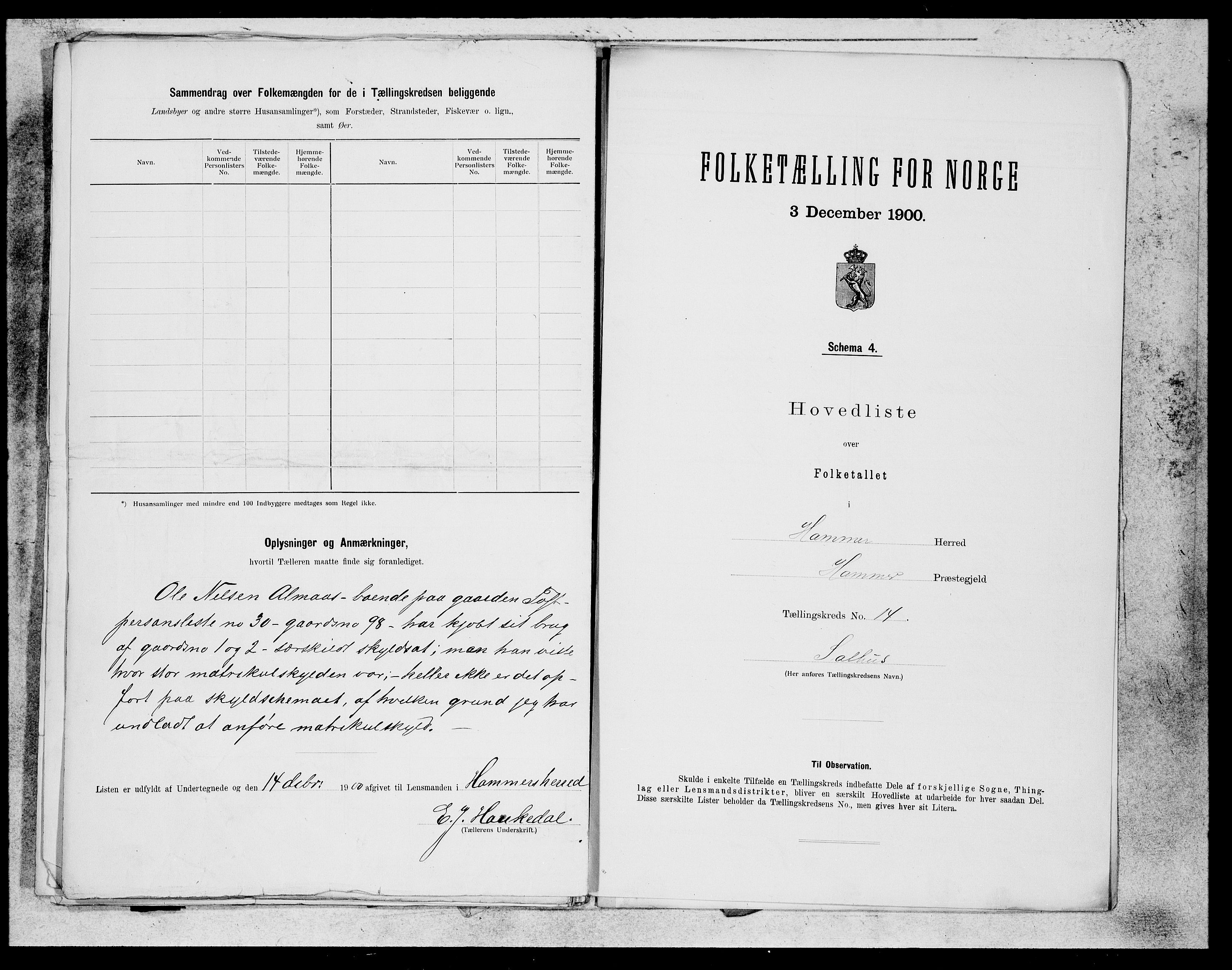 SAB, 1900 census for Hamre, 1900, p. 31