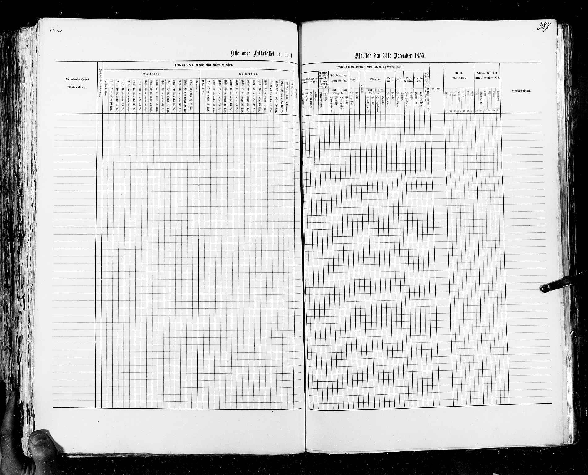 RA, Census 1855, vol. 7: Fredrikshald-Kragerø, 1855, p. 387