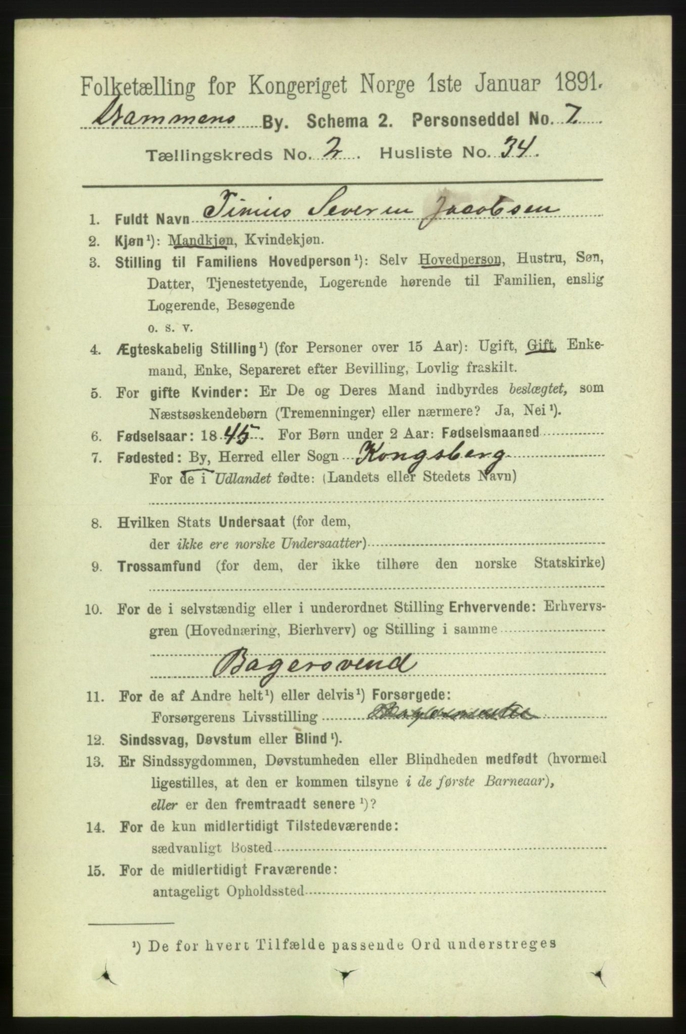 RA, 1891 census for 0602 Drammen, 1891, p. 4664