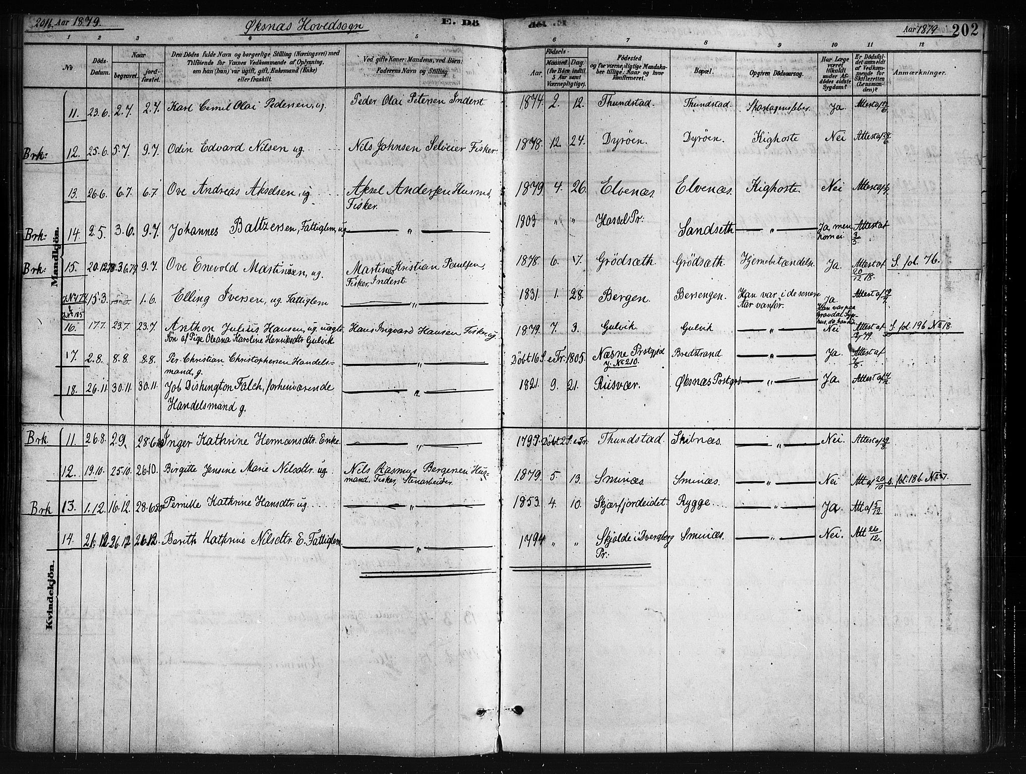 Ministerialprotokoller, klokkerbøker og fødselsregistre - Nordland, AV/SAT-A-1459/893/L1335: Parish register (official) no. 893A08 /1, 1878-1884, p. 202