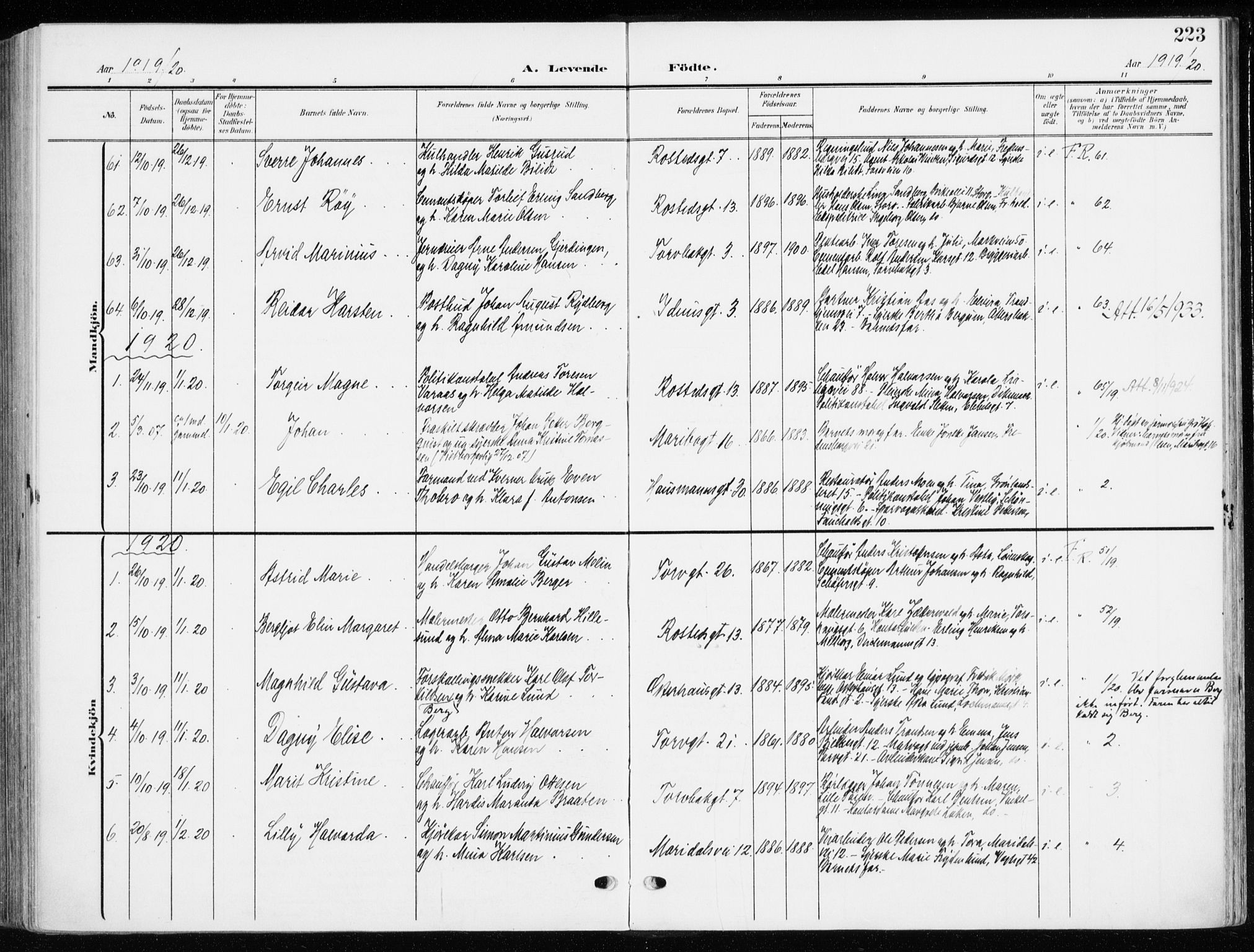 Jakob prestekontor Kirkebøker, AV/SAO-A-10850/F/Fa/L0005b: Parish register (official) no. 5b, 1904-1922, p. 223