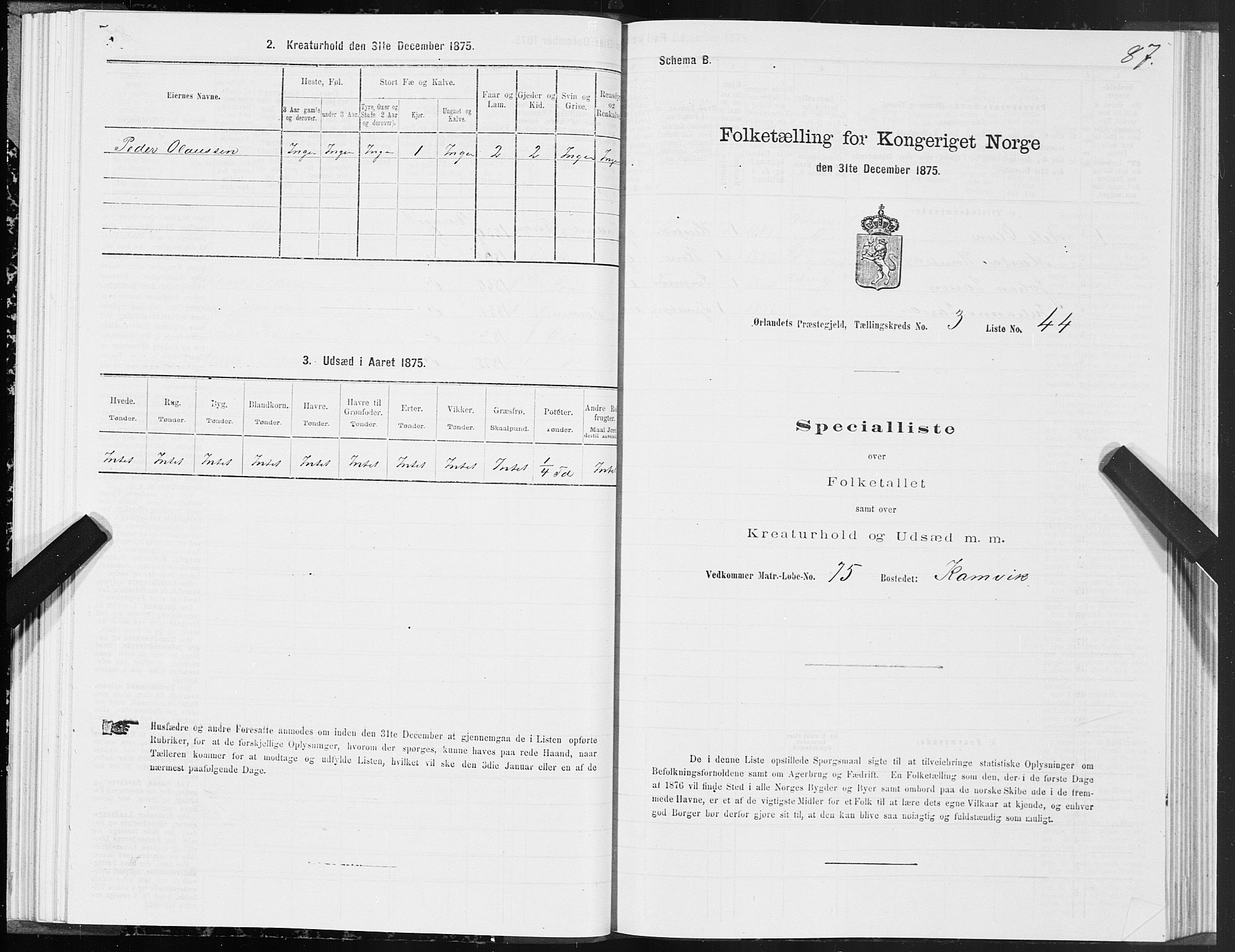 SAT, 1875 census for 1621P Ørland, 1875, p. 2087