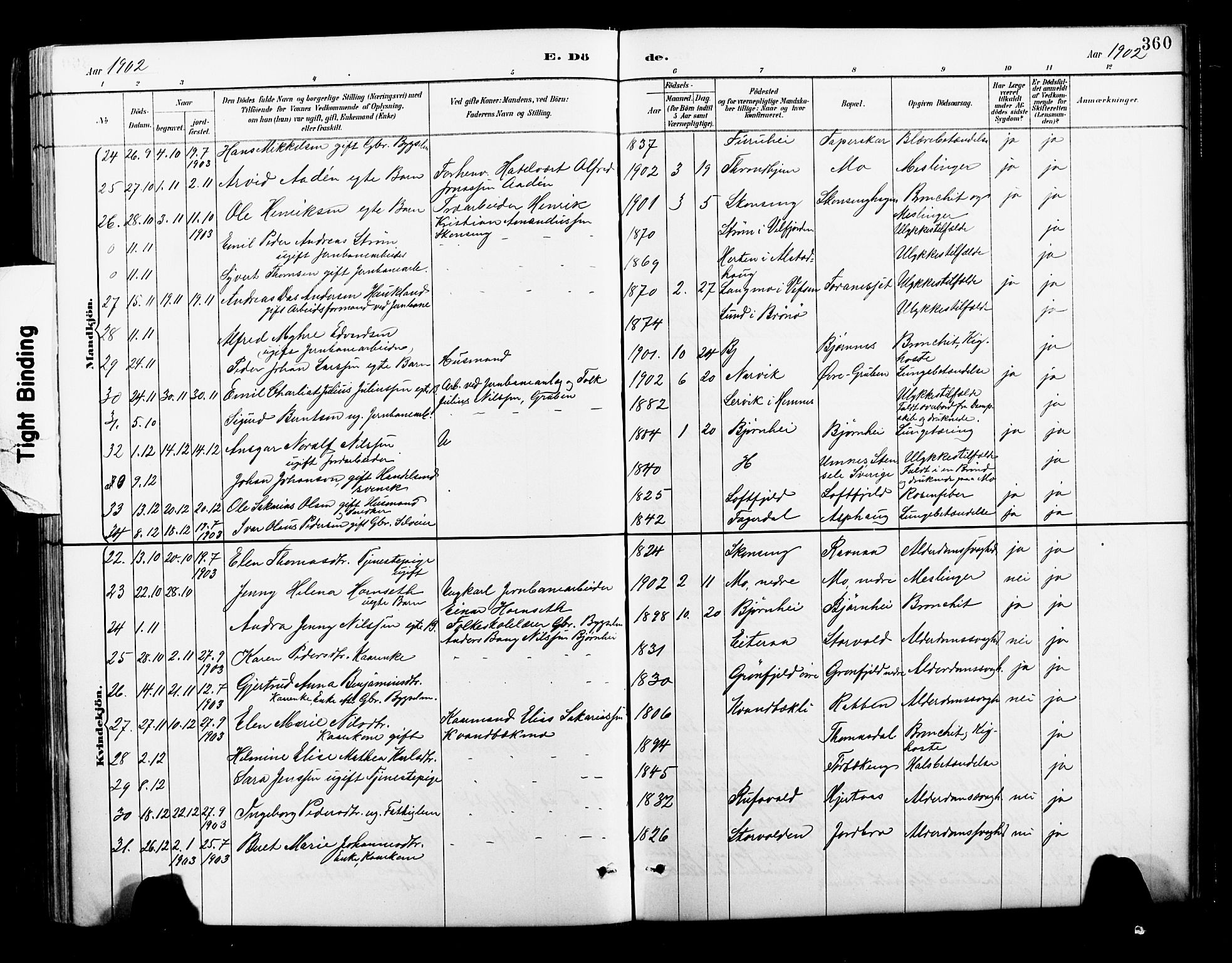 Ministerialprotokoller, klokkerbøker og fødselsregistre - Nordland, AV/SAT-A-1459/827/L0421: Parish register (copy) no. 827C10, 1887-1906, p. 360