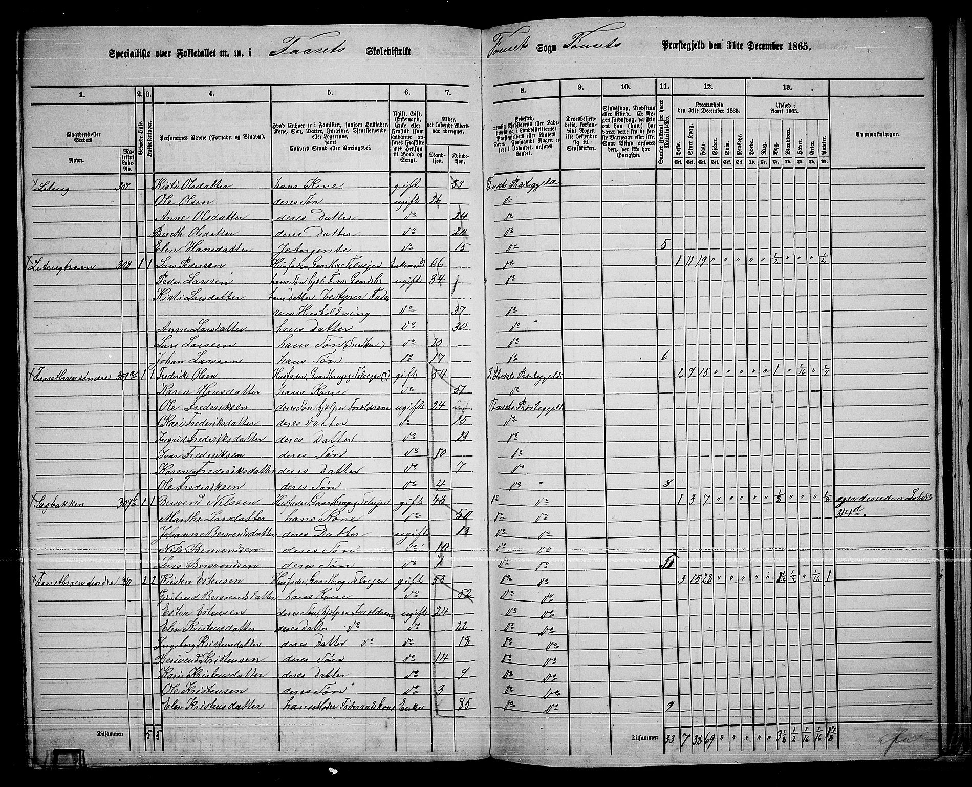 RA, 1865 census for Tynset, 1865, p. 120