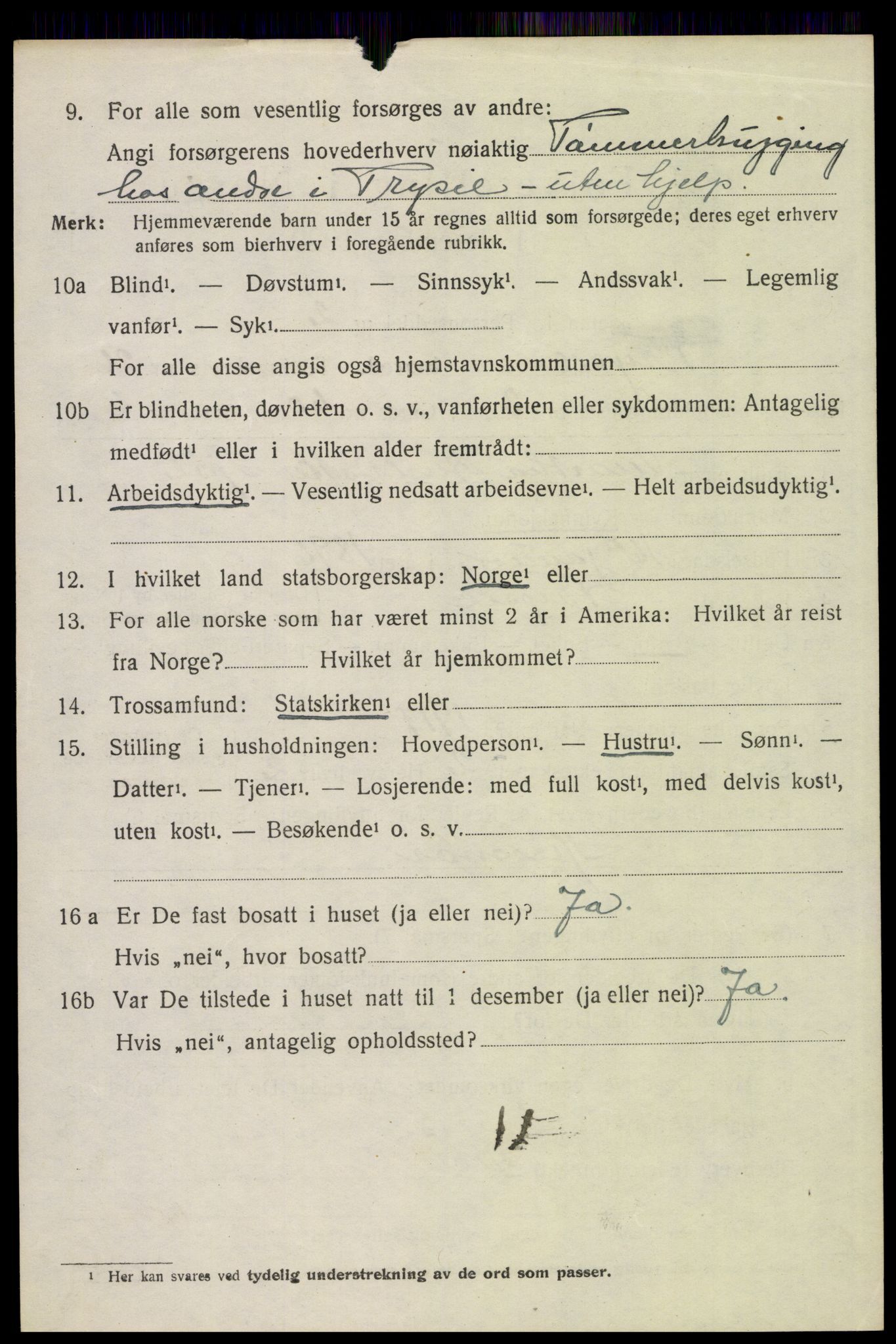 SAH, 1920 census for Trysil, 1920, p. 16146