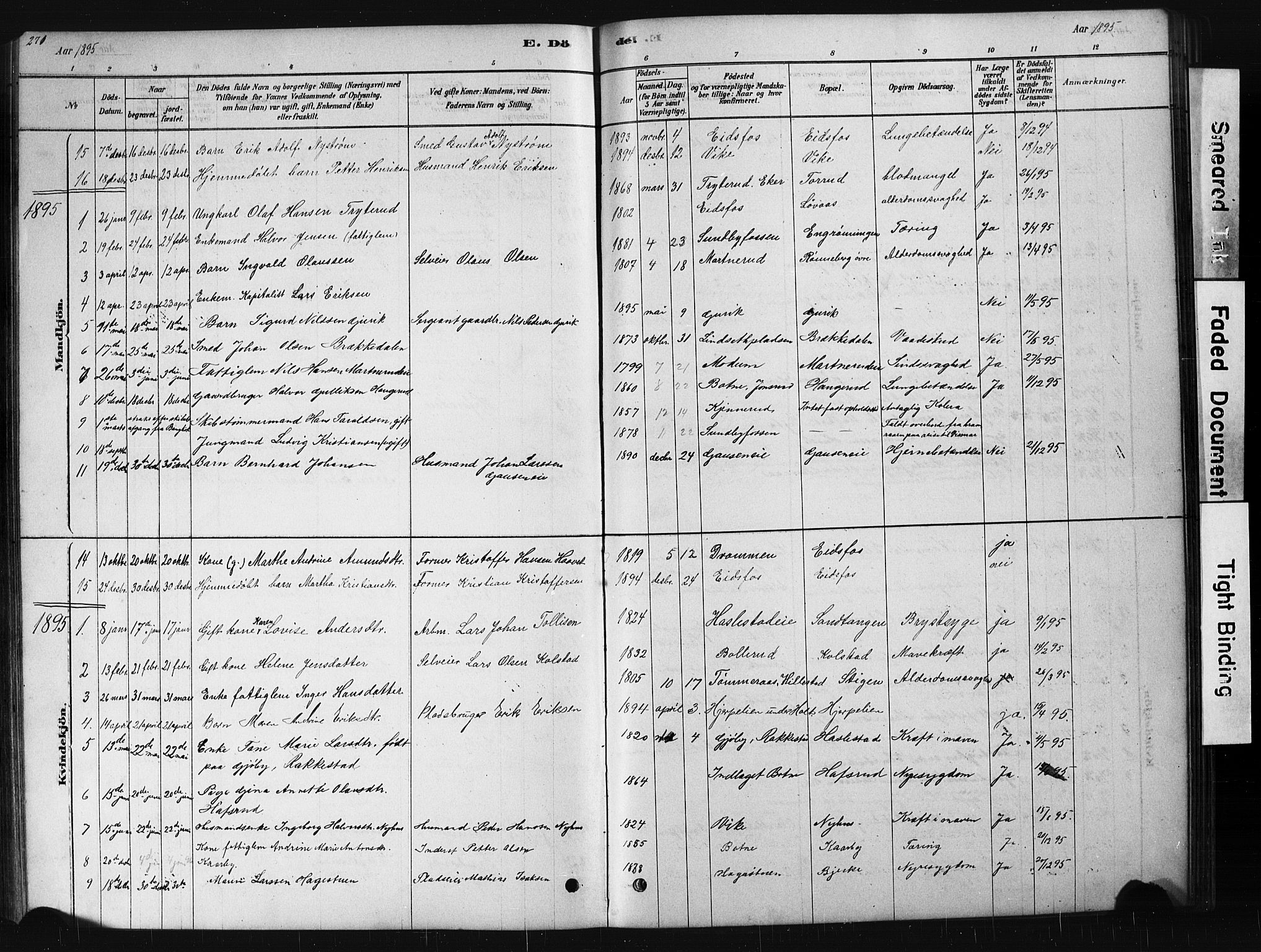 Hof kirkebøker, AV/SAKO-A-64/G/Ga/L0004: Parish register (copy) no. I 4, 1878-1930, p. 271