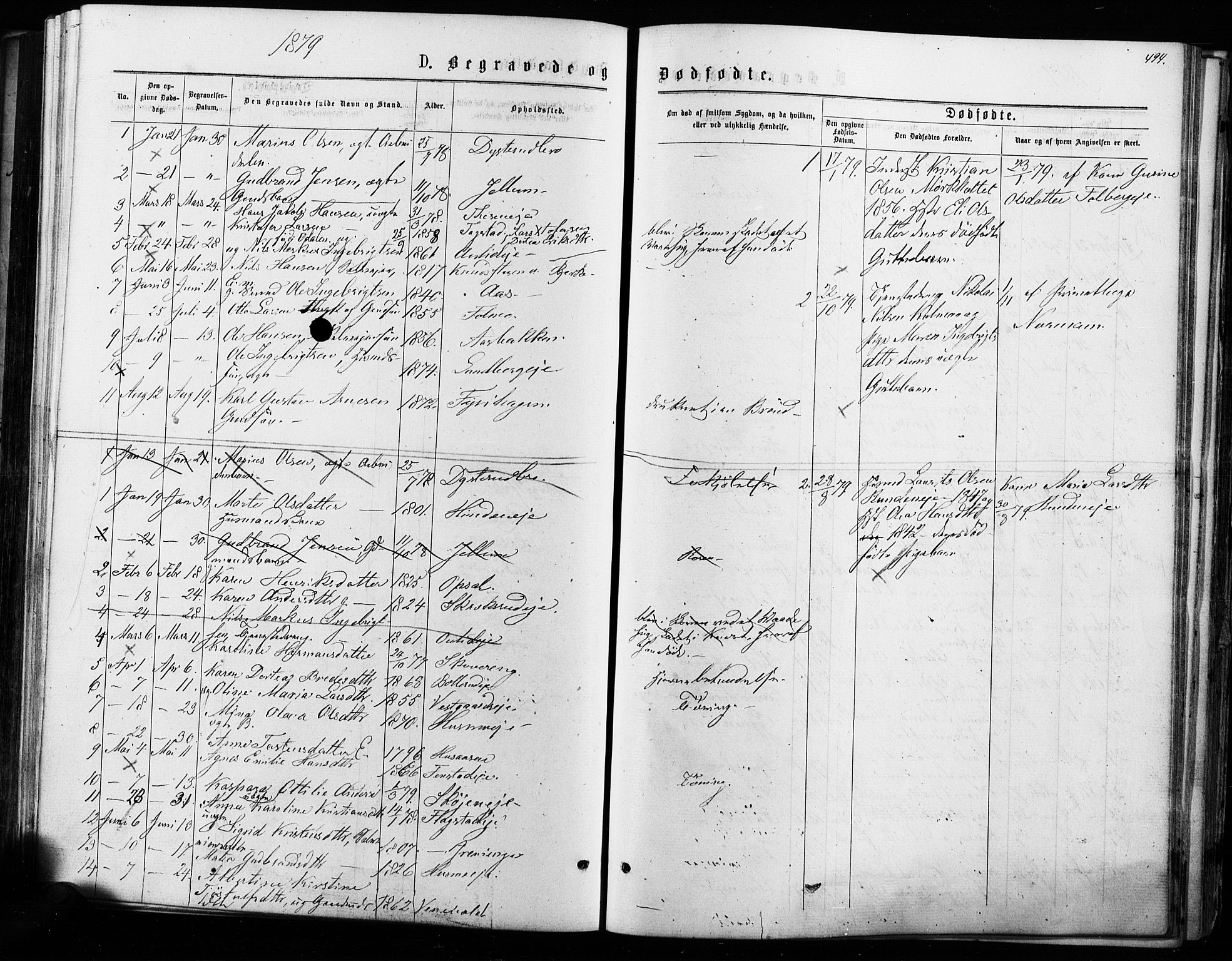Nes prestekontor Kirkebøker, SAO/A-10410/F/Fa/L0009: Parish register (official) no. I 9, 1875-1882, p. 494