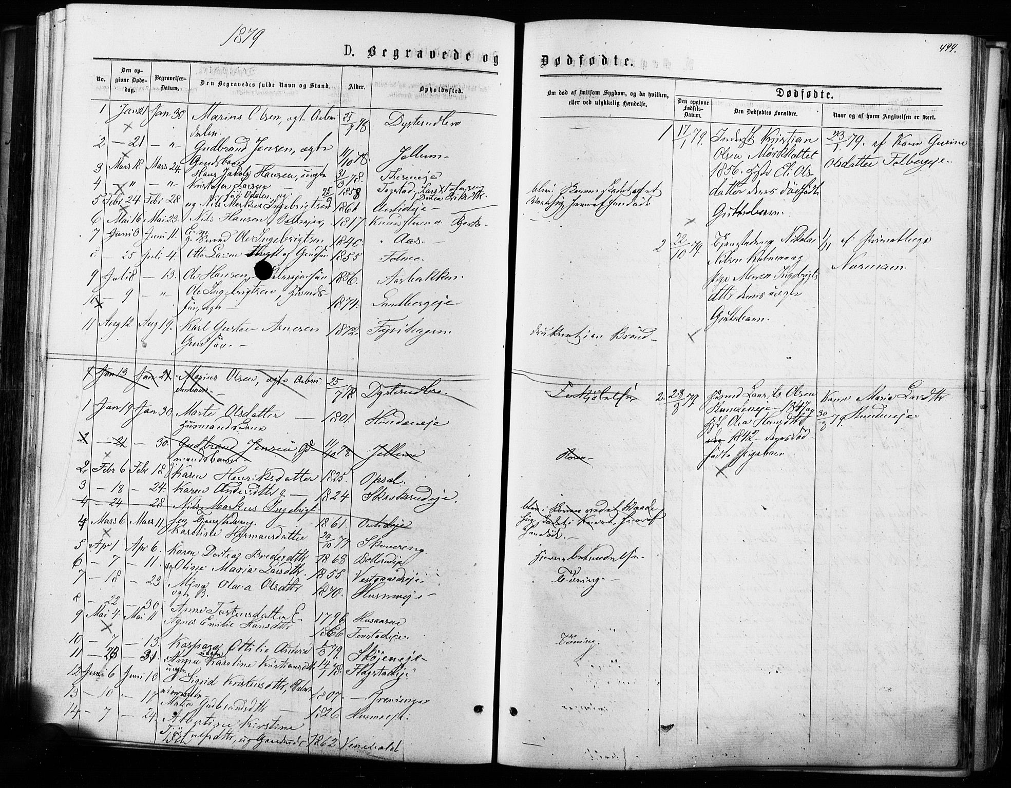 Nes prestekontor Kirkebøker, AV/SAO-A-10410/F/Fa/L0009: Parish register (official) no. I 9, 1875-1882, p. 494