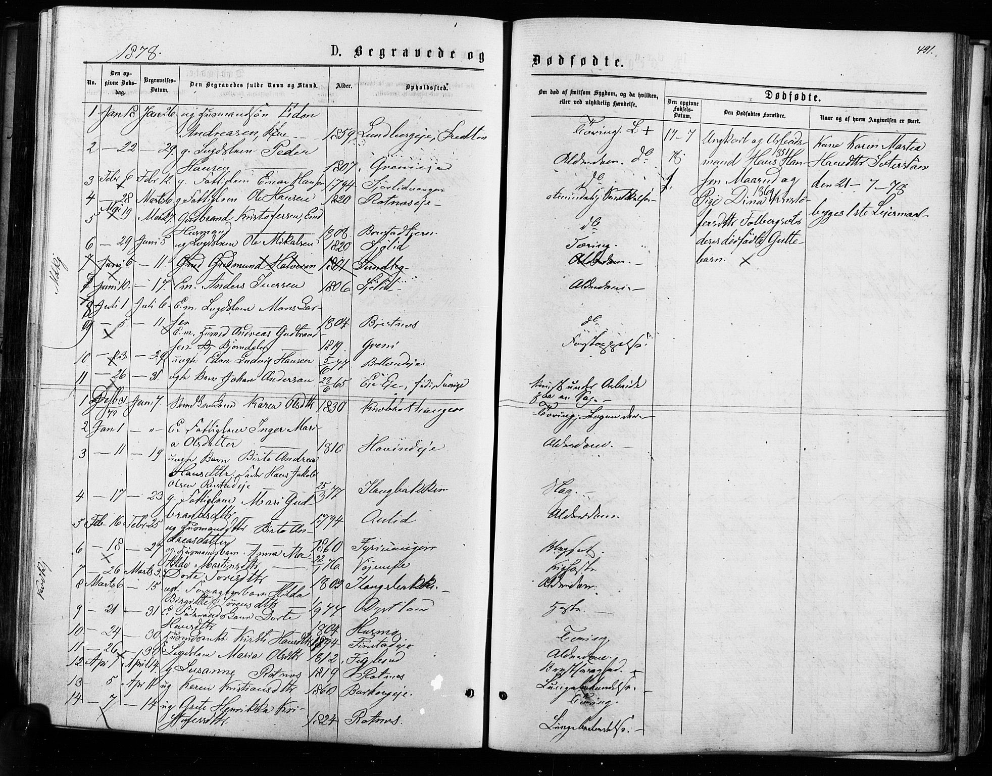 Nes prestekontor Kirkebøker, AV/SAO-A-10410/F/Fa/L0009: Parish register (official) no. I 9, 1875-1882, p. 491