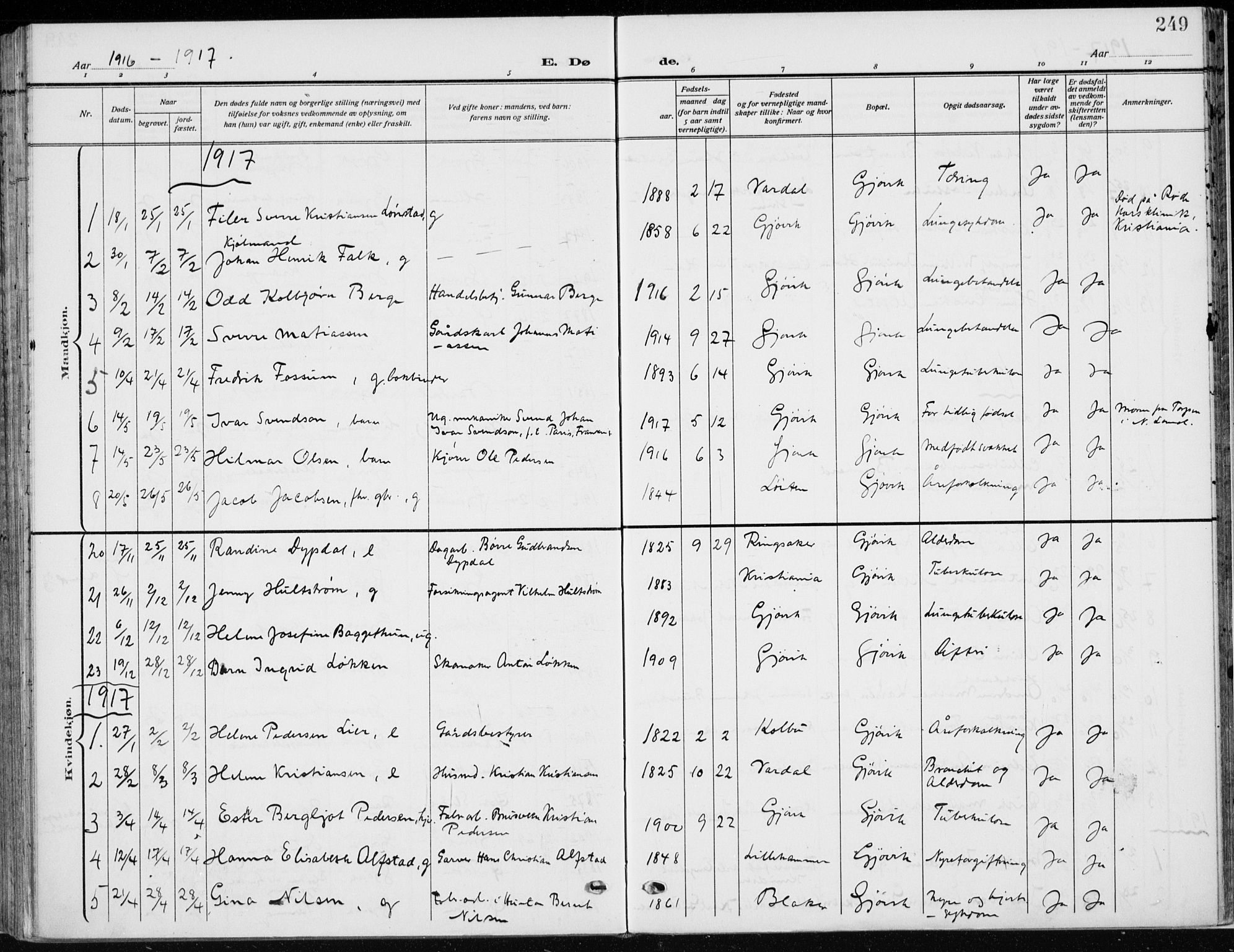 Vardal prestekontor, SAH/PREST-100/H/Ha/Haa/L0014: Parish register (official) no. 14, 1912-1922, p. 249