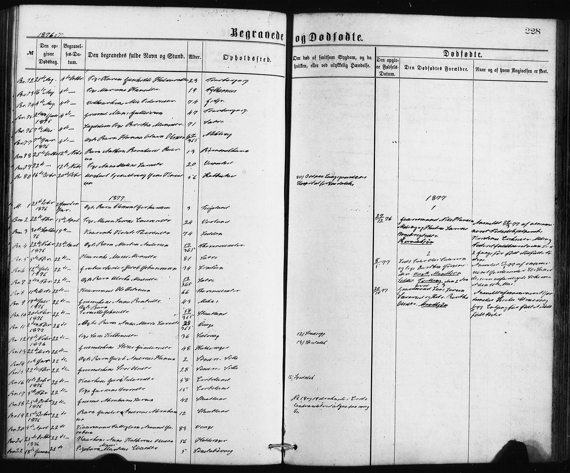 Finnås sokneprestembete, SAB/A-99925/H/Ha/Haa/Haaa/L0009: Parish register (official) no. A 9, 1873-1881, p. 228