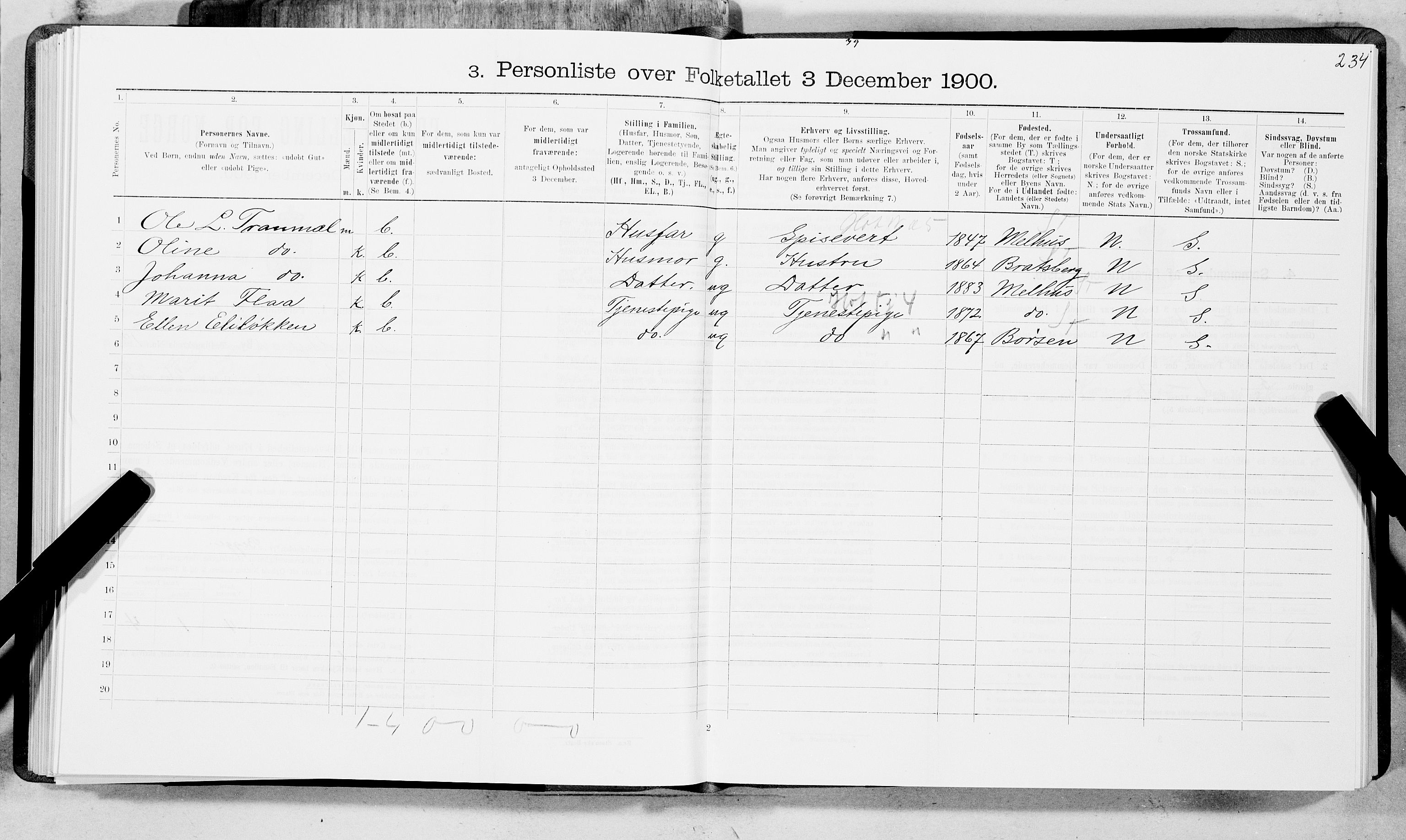 SAT, 1900 census for Trondheim, 1900, p. 2273