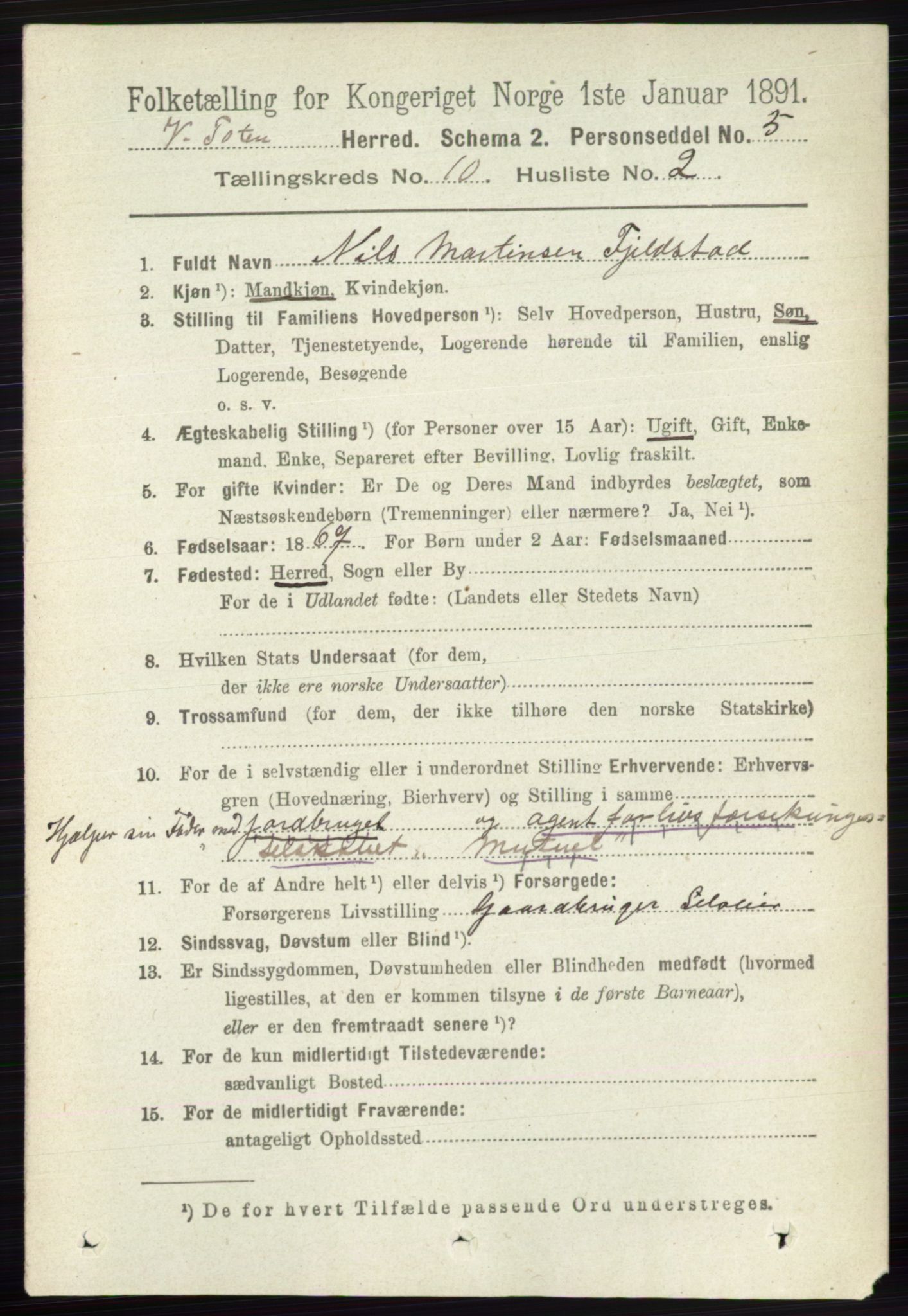 RA, 1891 census for 0529 Vestre Toten, 1891, p. 6192