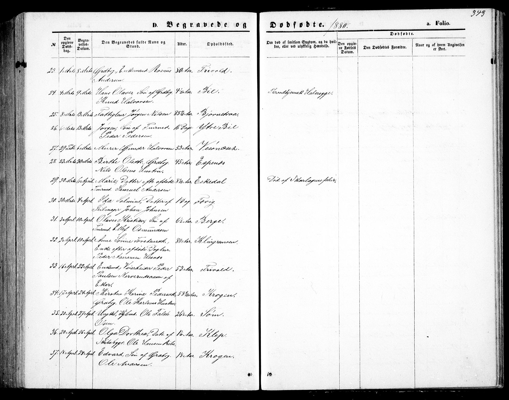 Fjære sokneprestkontor, AV/SAK-1111-0011/F/Fb/L0010: Parish register (copy) no. B 10, 1871-1880, p. 343