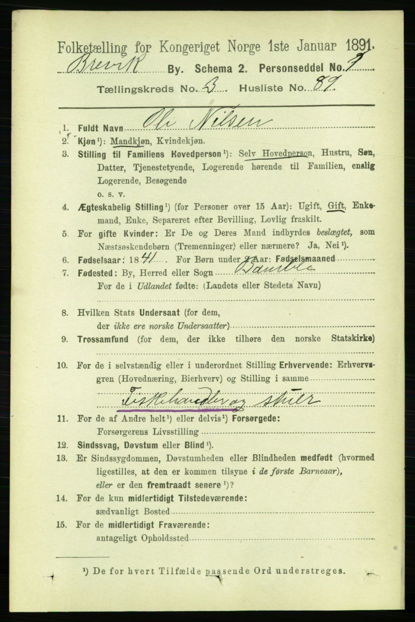 RA, 1891 census for 0804 Brevik, 1891, p. 2692