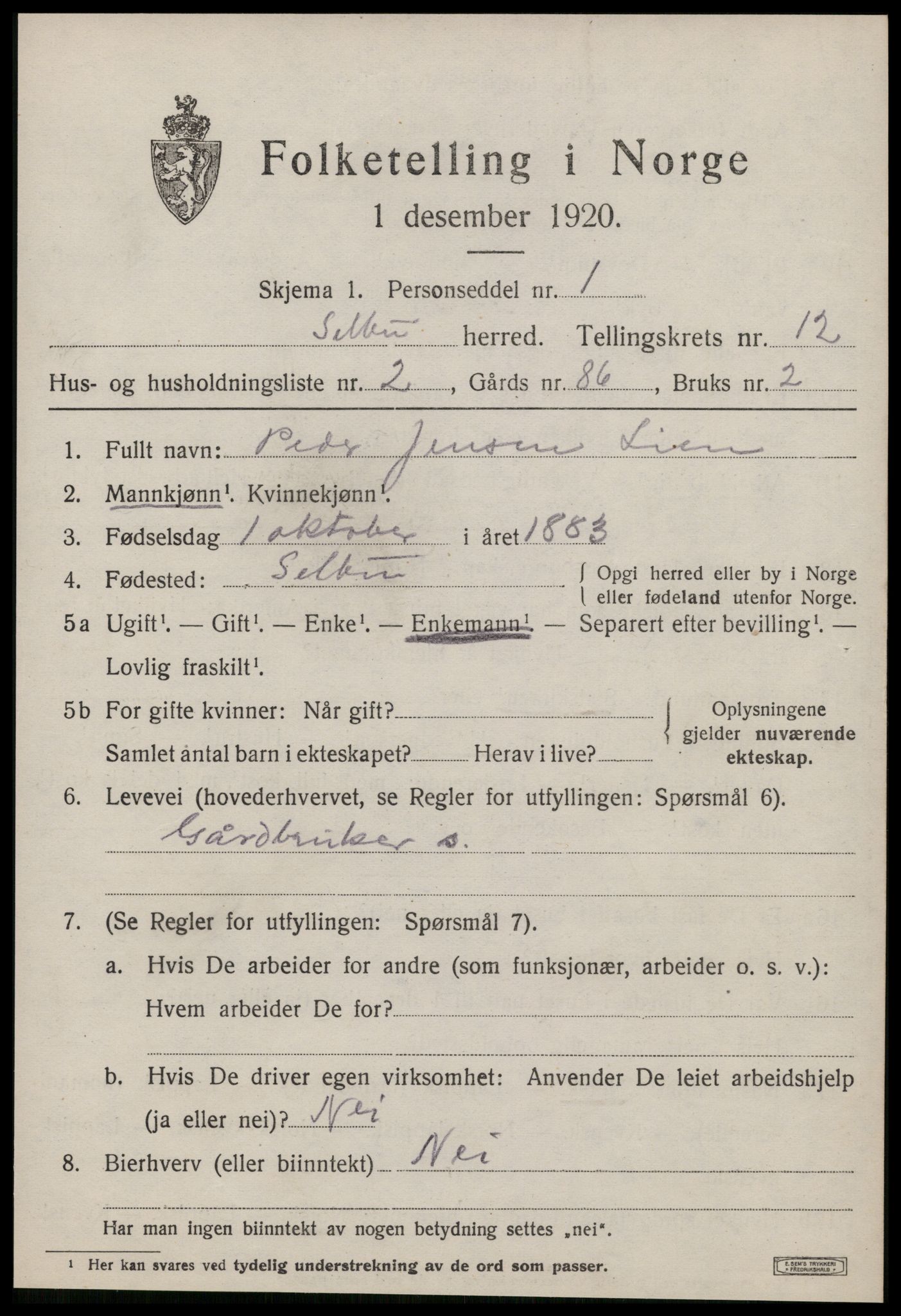 SAT, 1920 census for Selbu, 1920, p. 6508