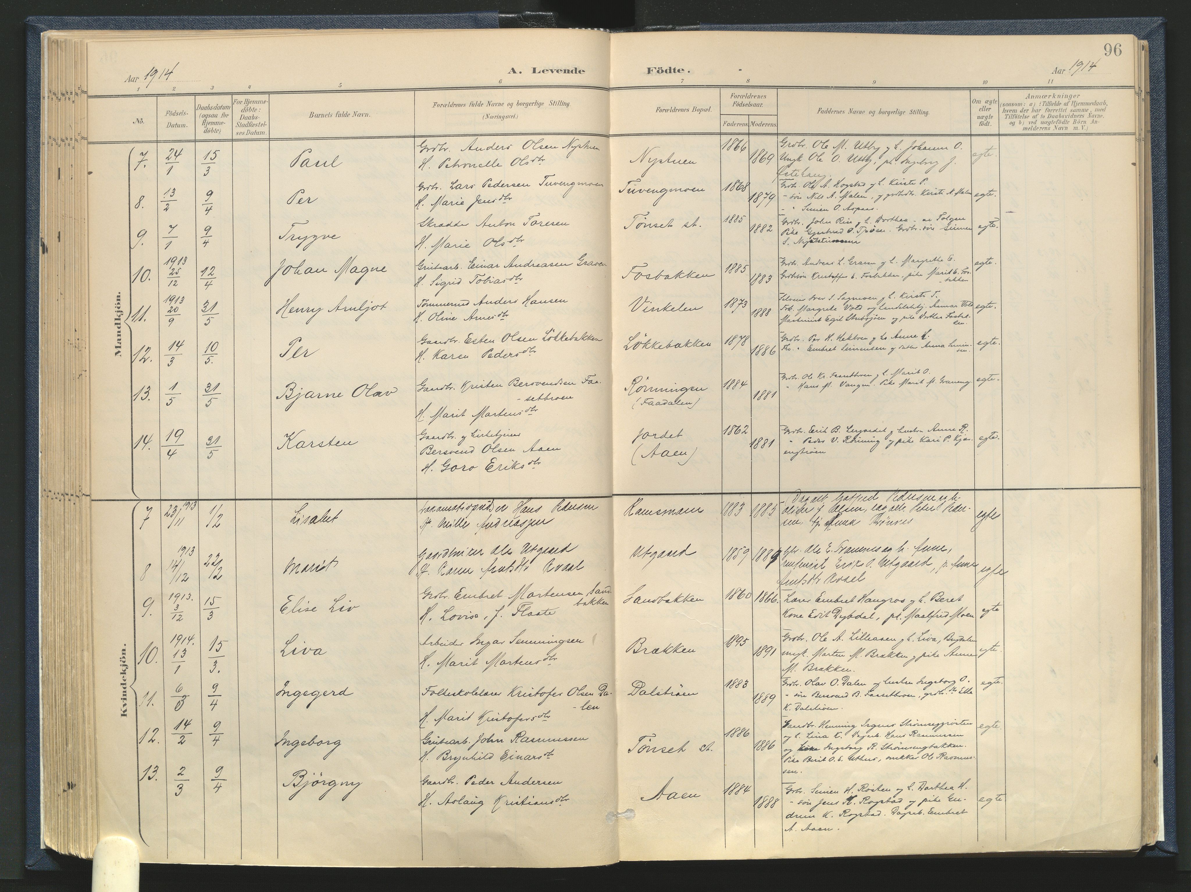 Tynset prestekontor, AV/SAH-PREST-058/H/Ha/Haa/L0025: Parish register (official) no. 25, 1900-1914, p. 96