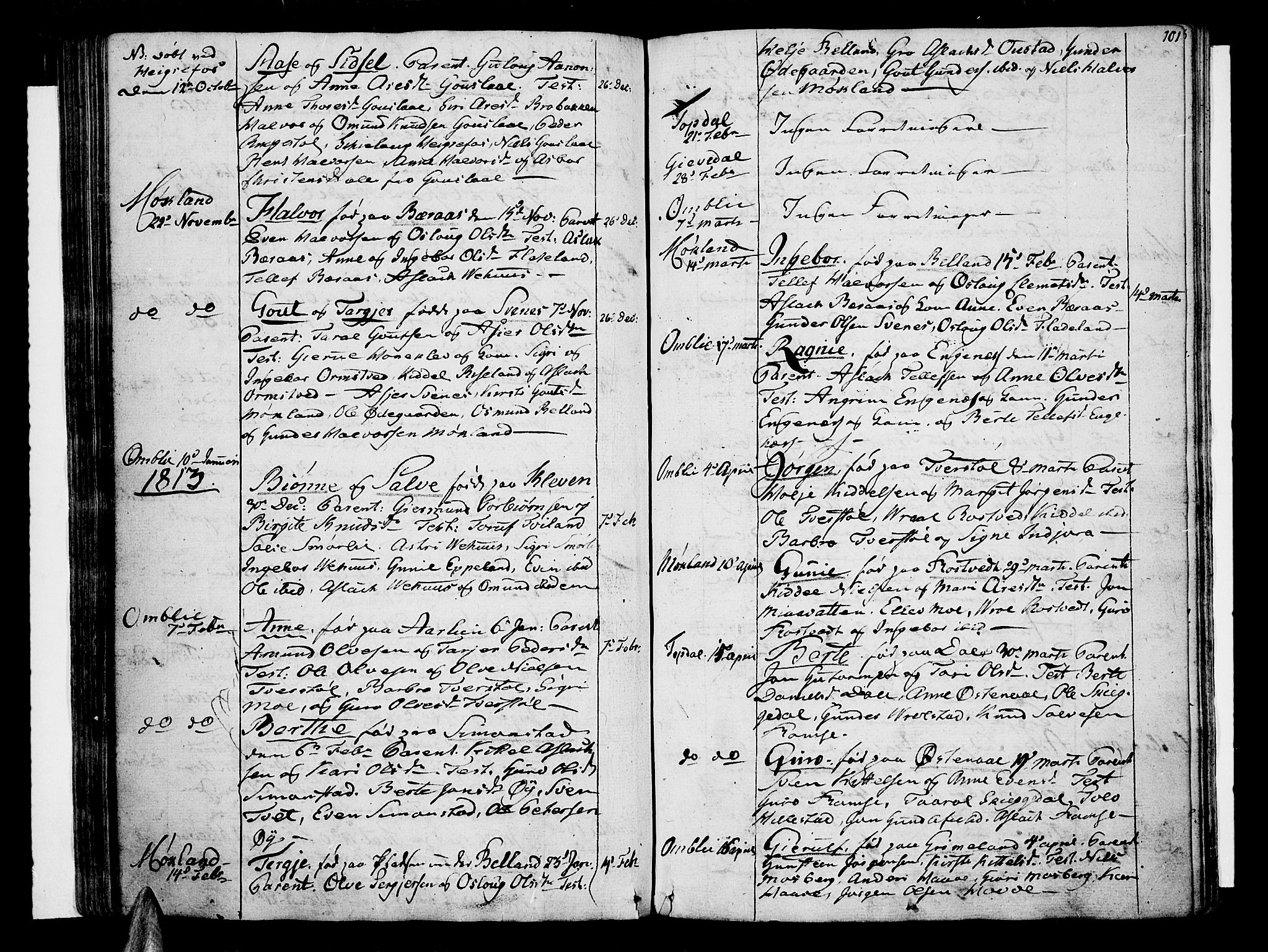 Åmli sokneprestkontor, AV/SAK-1111-0050/F/Fa/Fac/L0005: Parish register (official) no. A 5, 1796-1816, p. 101